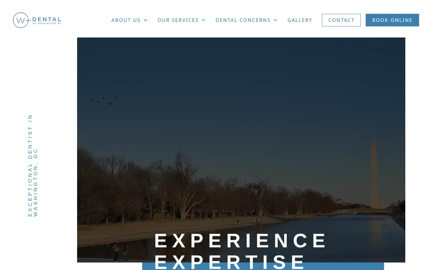 Homepage preview of W Plus Dental of Washington DC