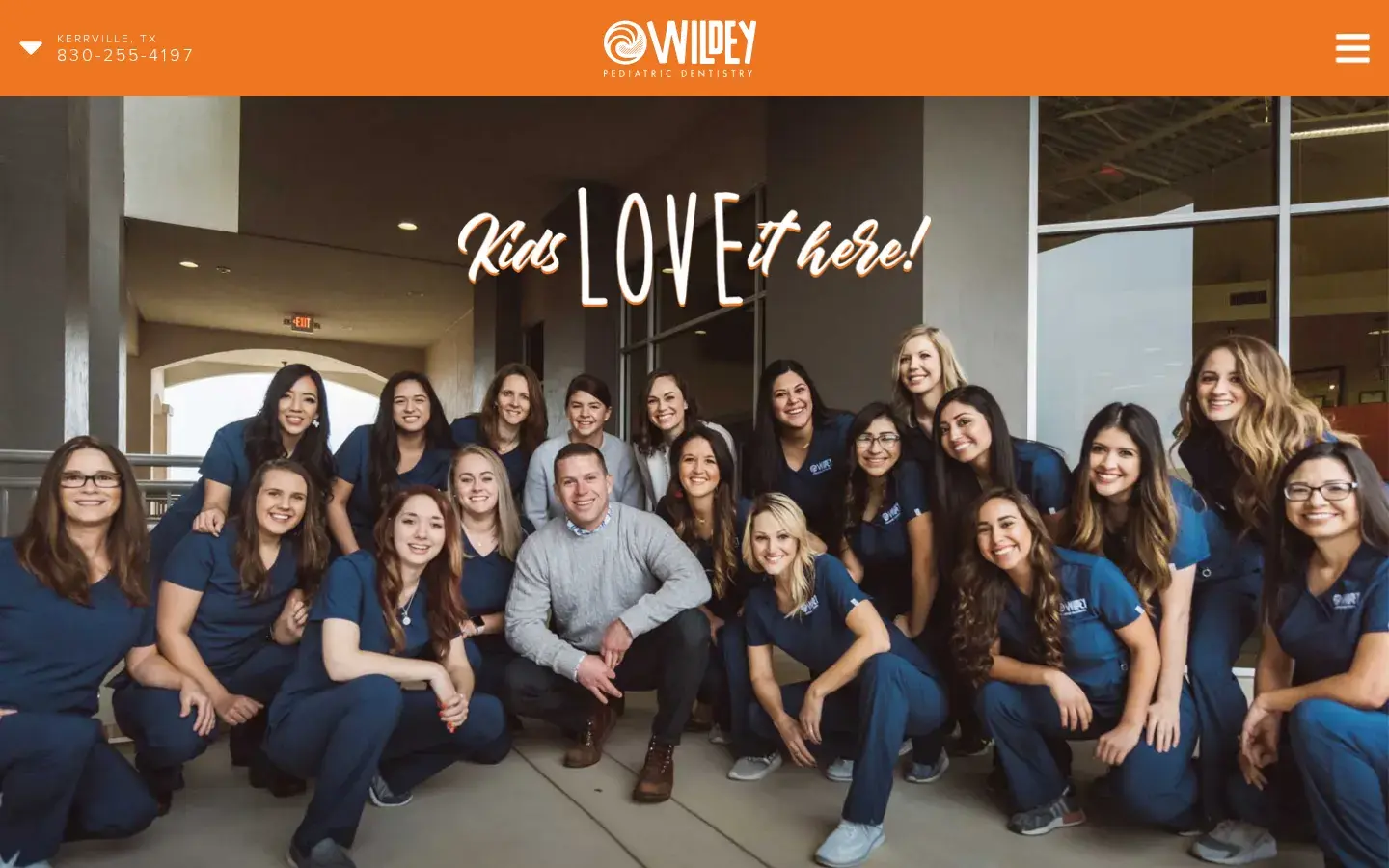 Homepage preview of Wildey Pediatric Dentistry