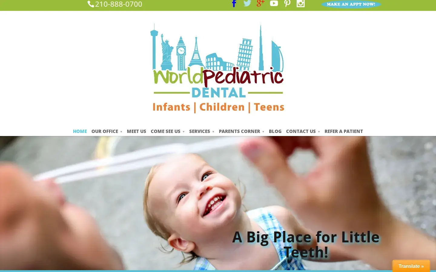 Homepage preview of World Pediatric Dental