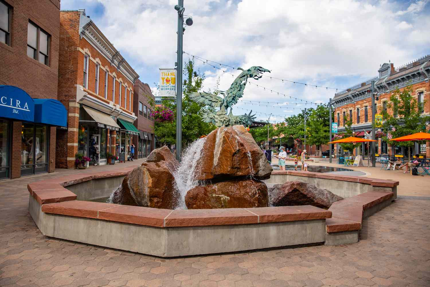 Top 5 Cosmetic Dentists in Fort Collins CO