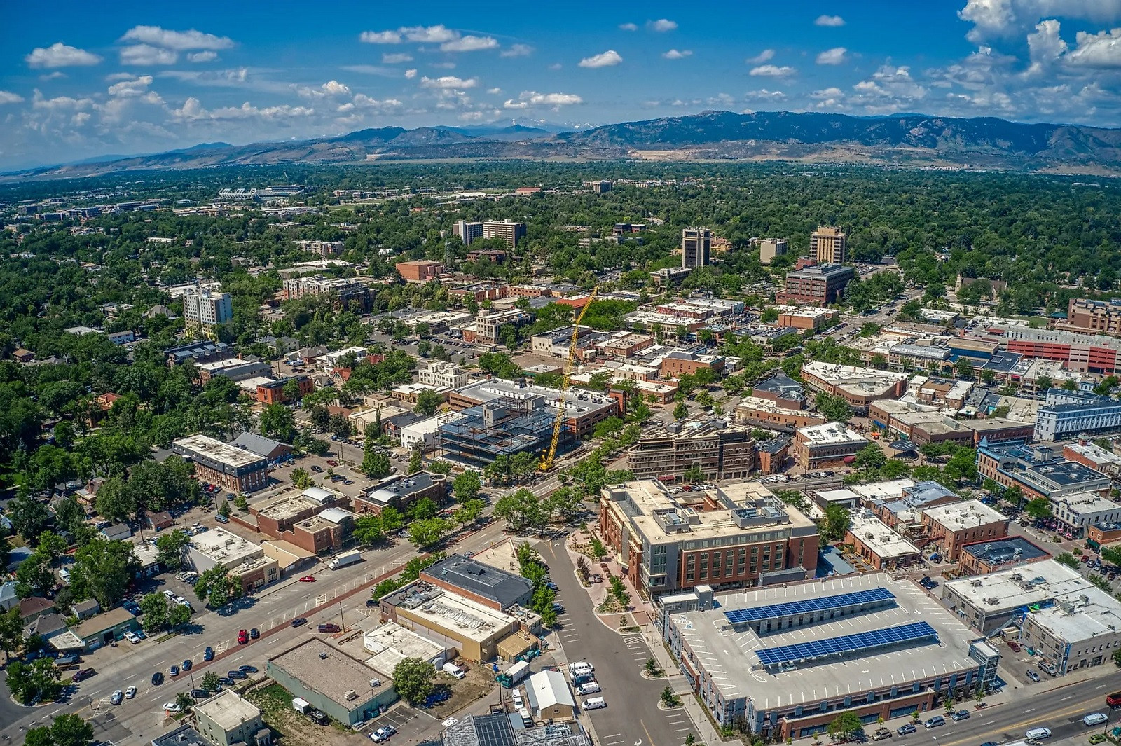 Top 5 Oral Surgeons in Fort Collins CO