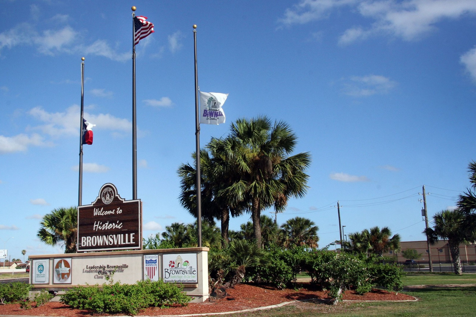 Top 5 Cosmetic Dentists in Brownsville TX