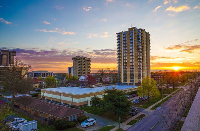 Top 5 Endodontists in Springfield MO