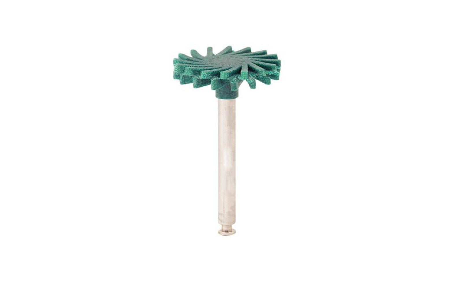 Top 10 Dental Polishers