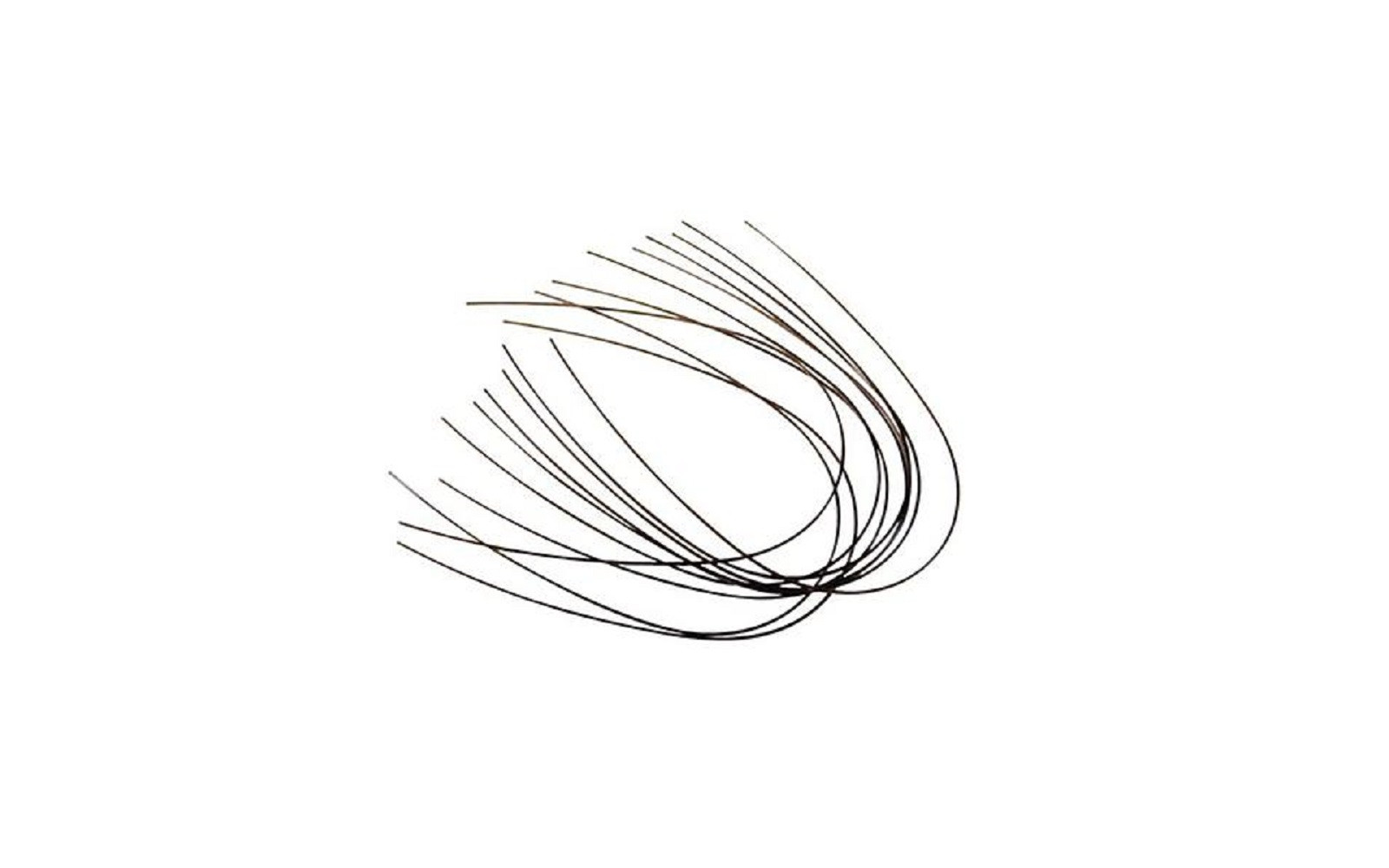 Top 10 Orthodontic Wires in Dentistry