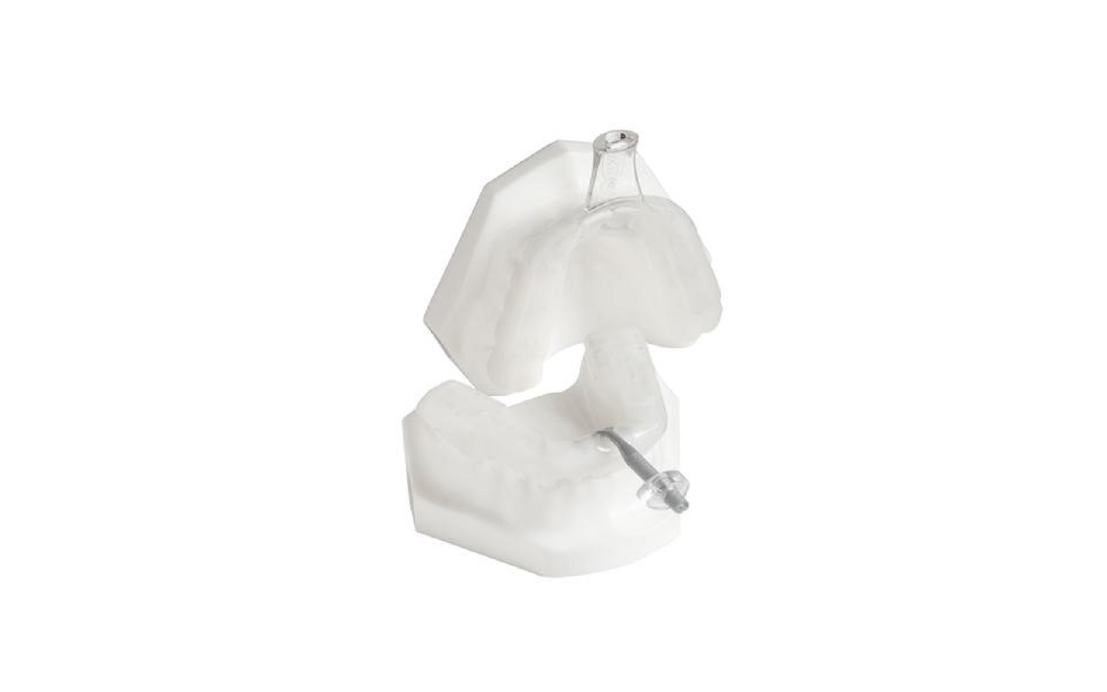 Top 10 Oral Appliances Accessories for Dentists