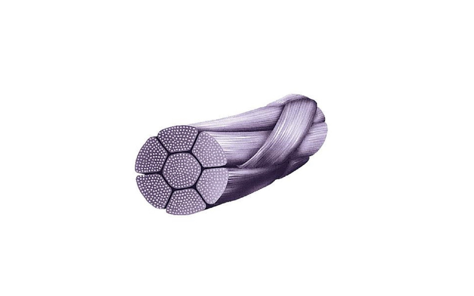 Top 10 Absorbable Suture & Needle Combination