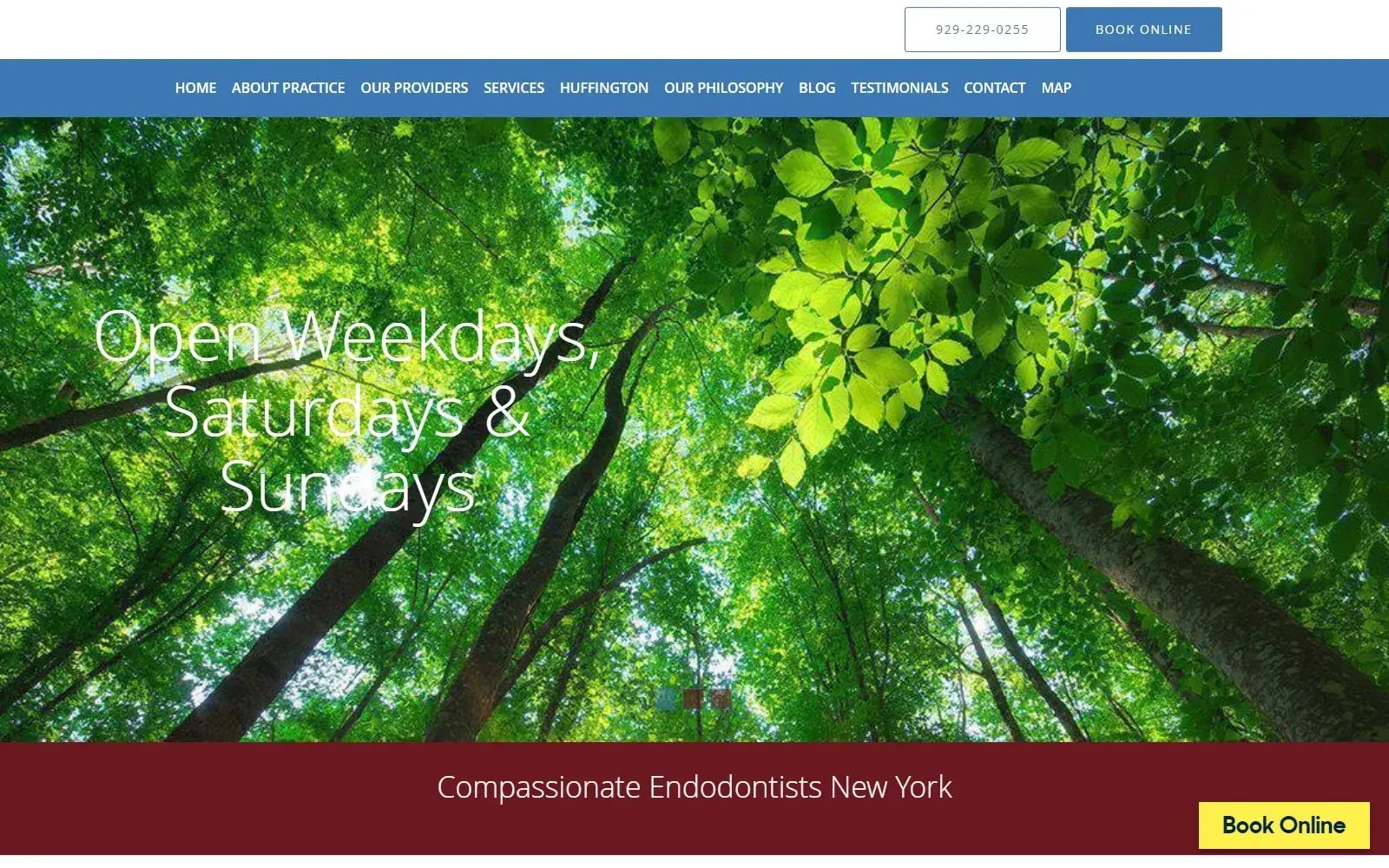 Designing a Professional Endodontics Website