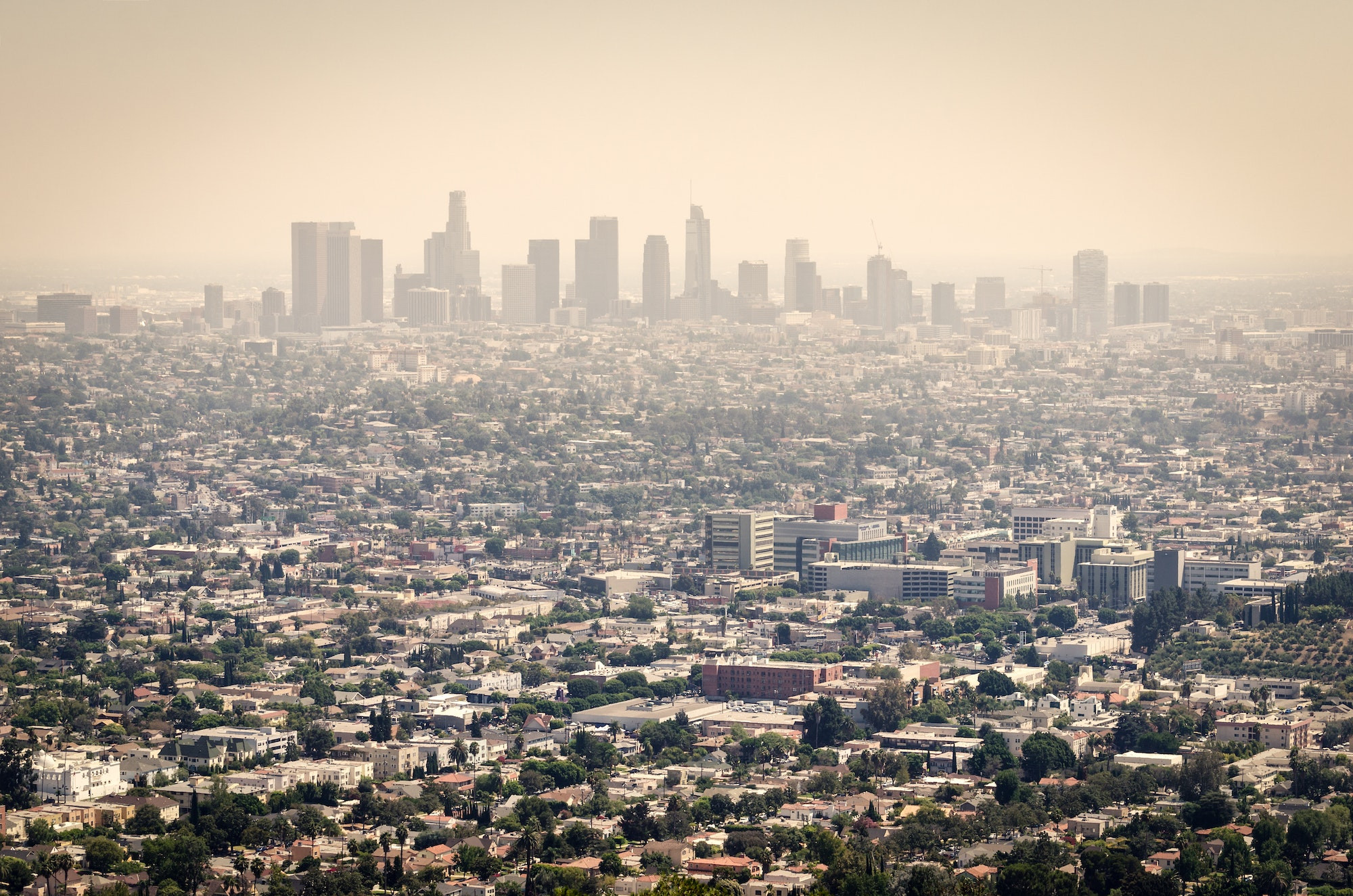 Top 5 Dentists in Los Angeles CA