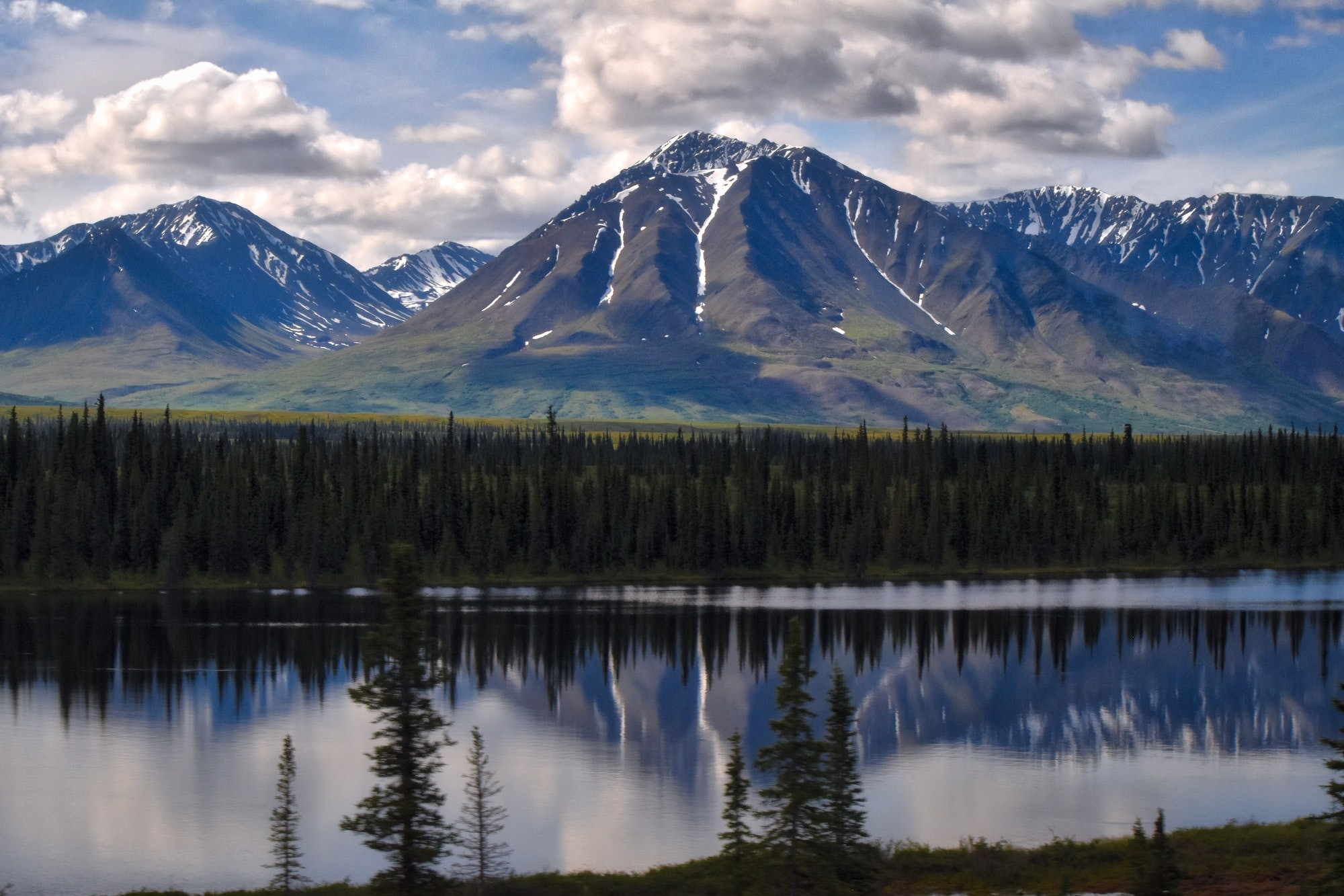 Top 5 Orthodontists in Anchorage AK