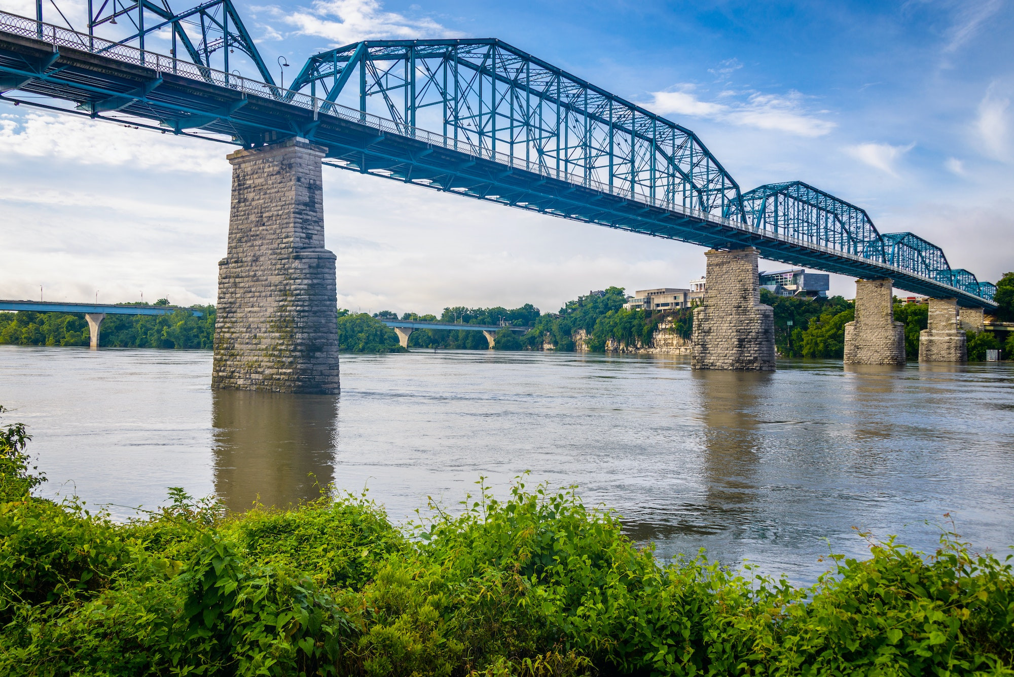 Top 5 Endodontists in Chattanooga TN
