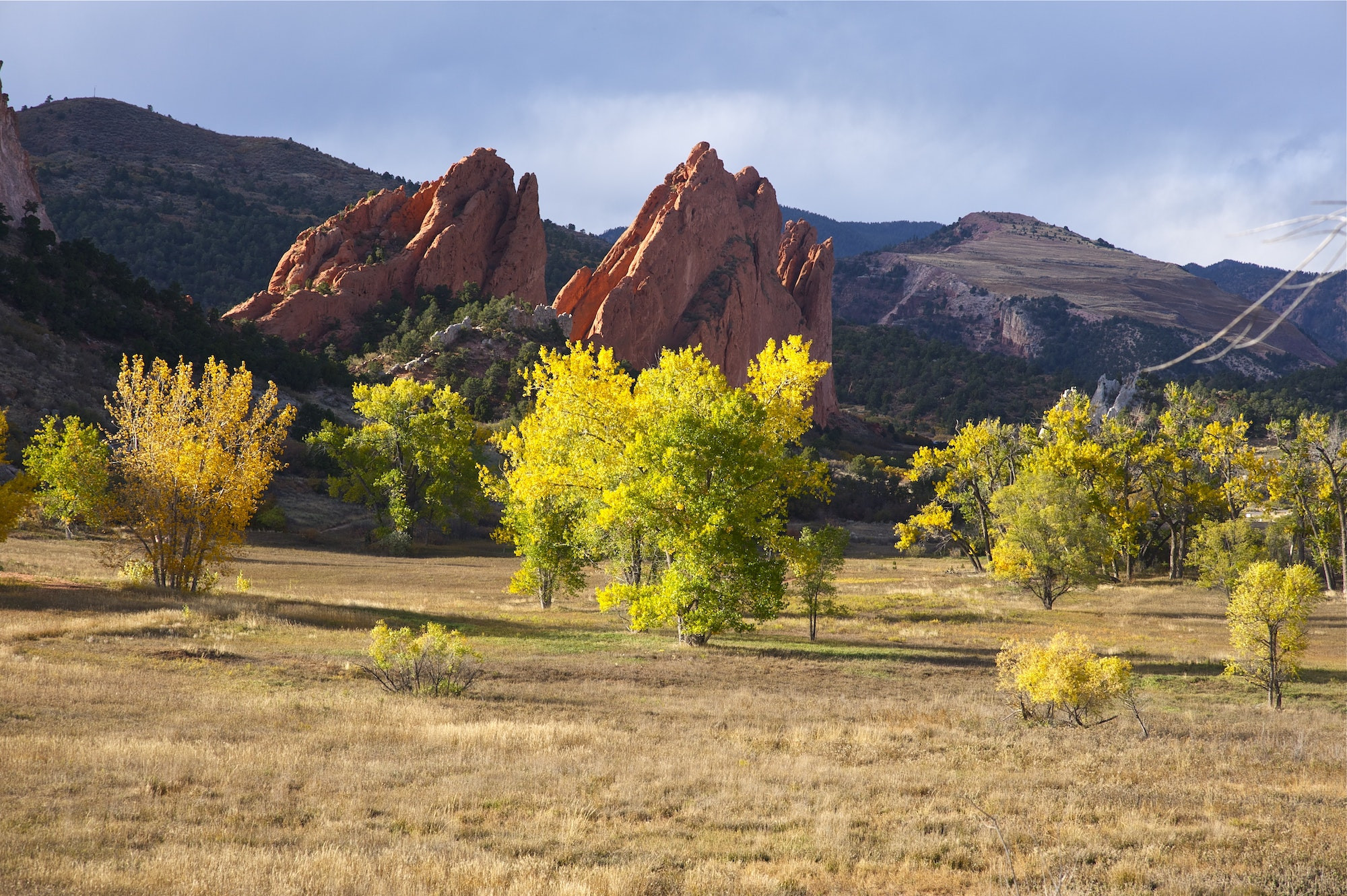 Top 5 Endodontists in Colorado Springs CO