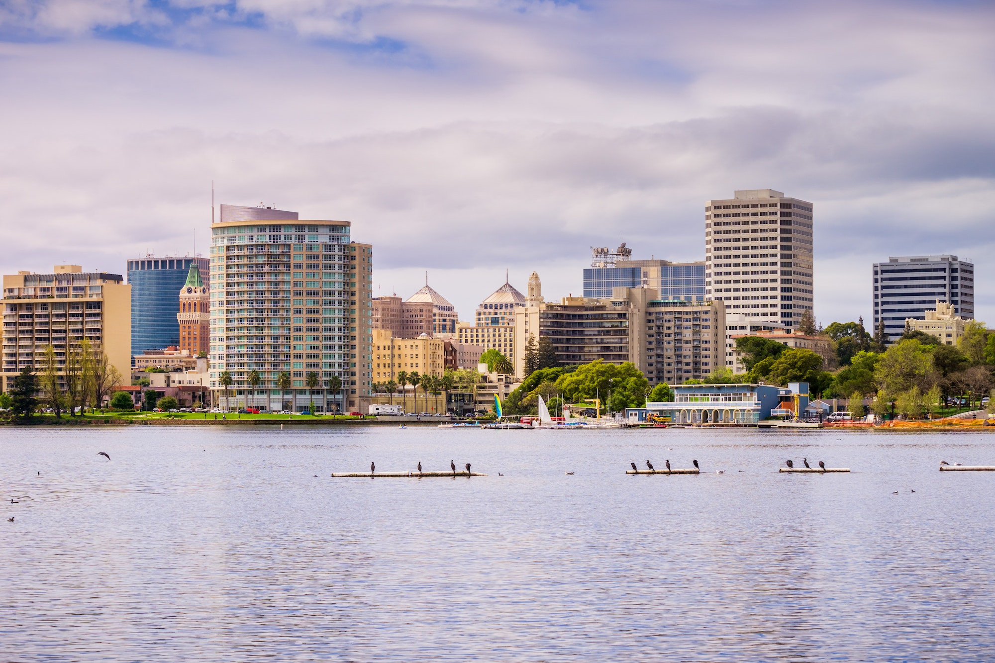 Top 5 Endodontists in Oakland CA