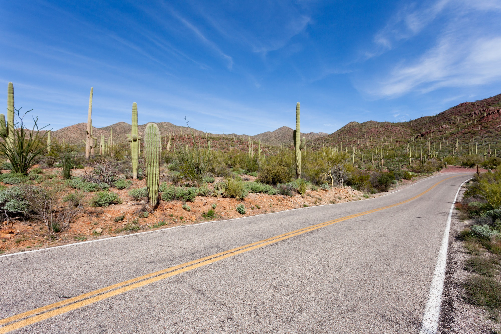 Top 5 Dentists in Tucson AZ