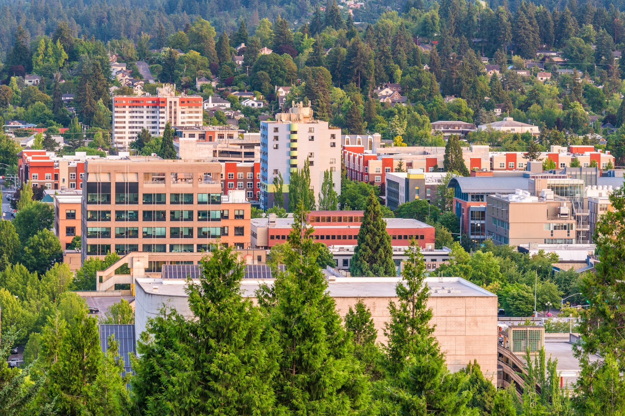 Top 5 Orthodontists in Eugene OR