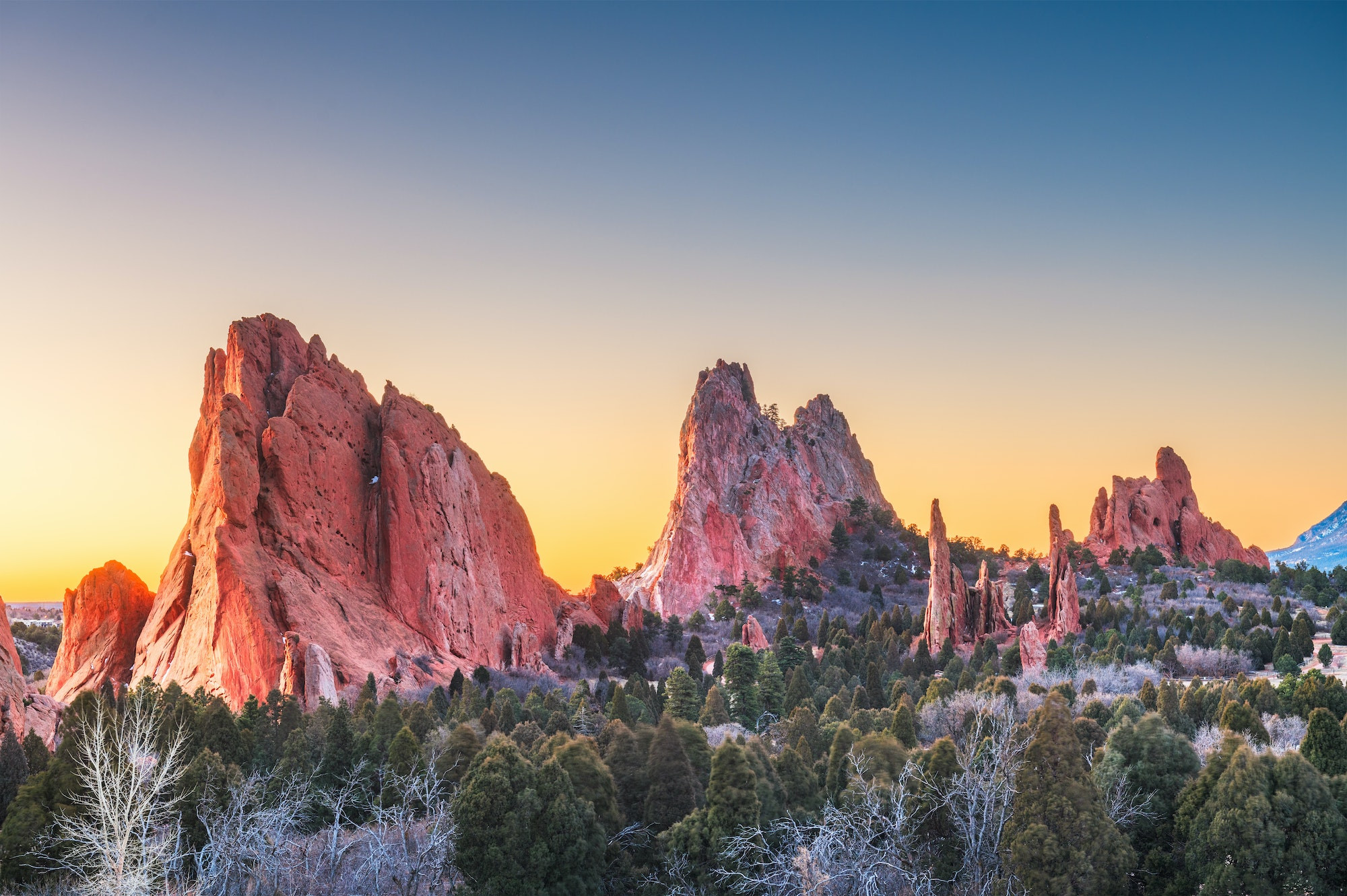 Top 5 Pediatric Dentists in Colorado Springs CO