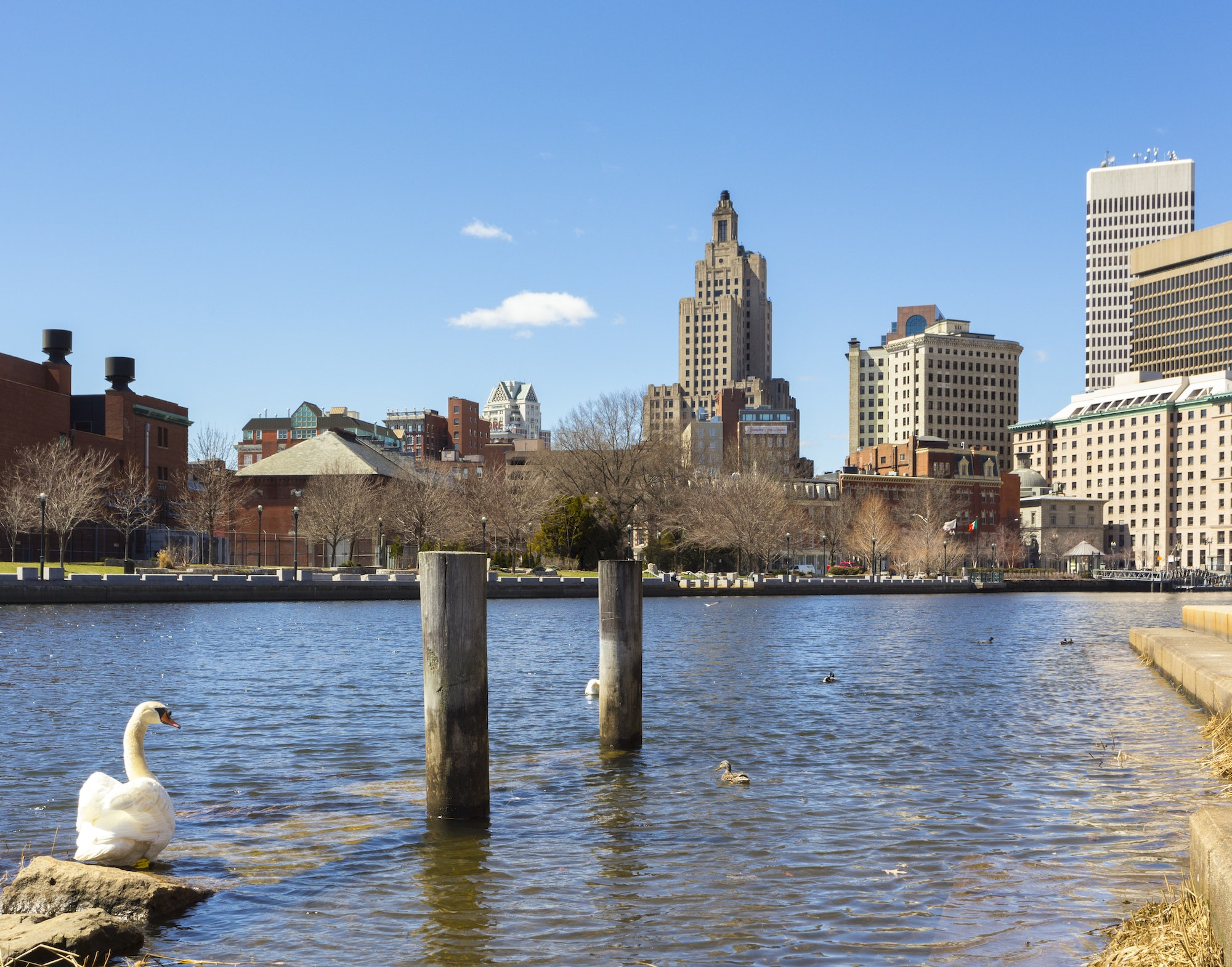 Top 5 Pediatric Dentists in Providence RI