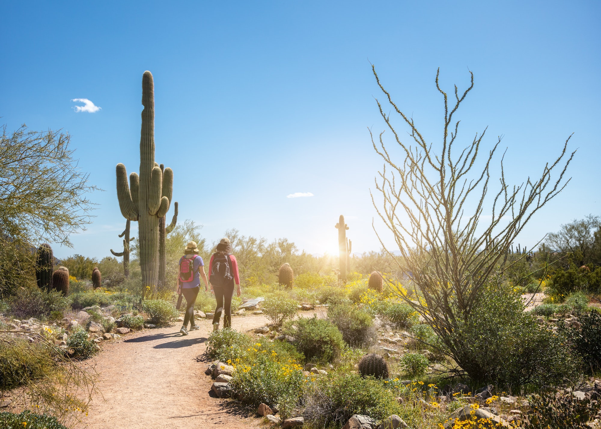Top 5 Endodontists in Scottsdale AZ