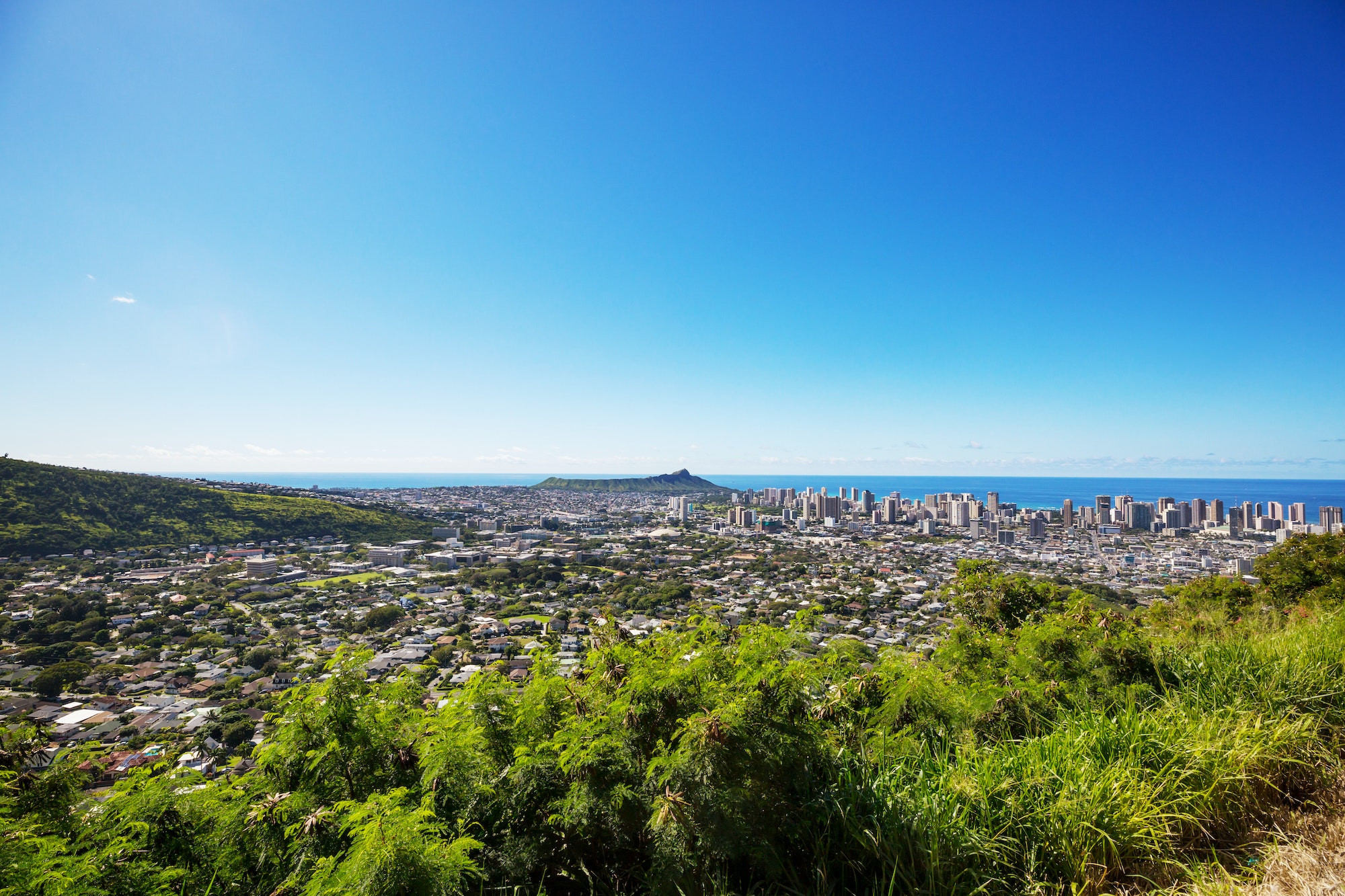 Top 5 Cosmetic Dentists in Honolulu HI