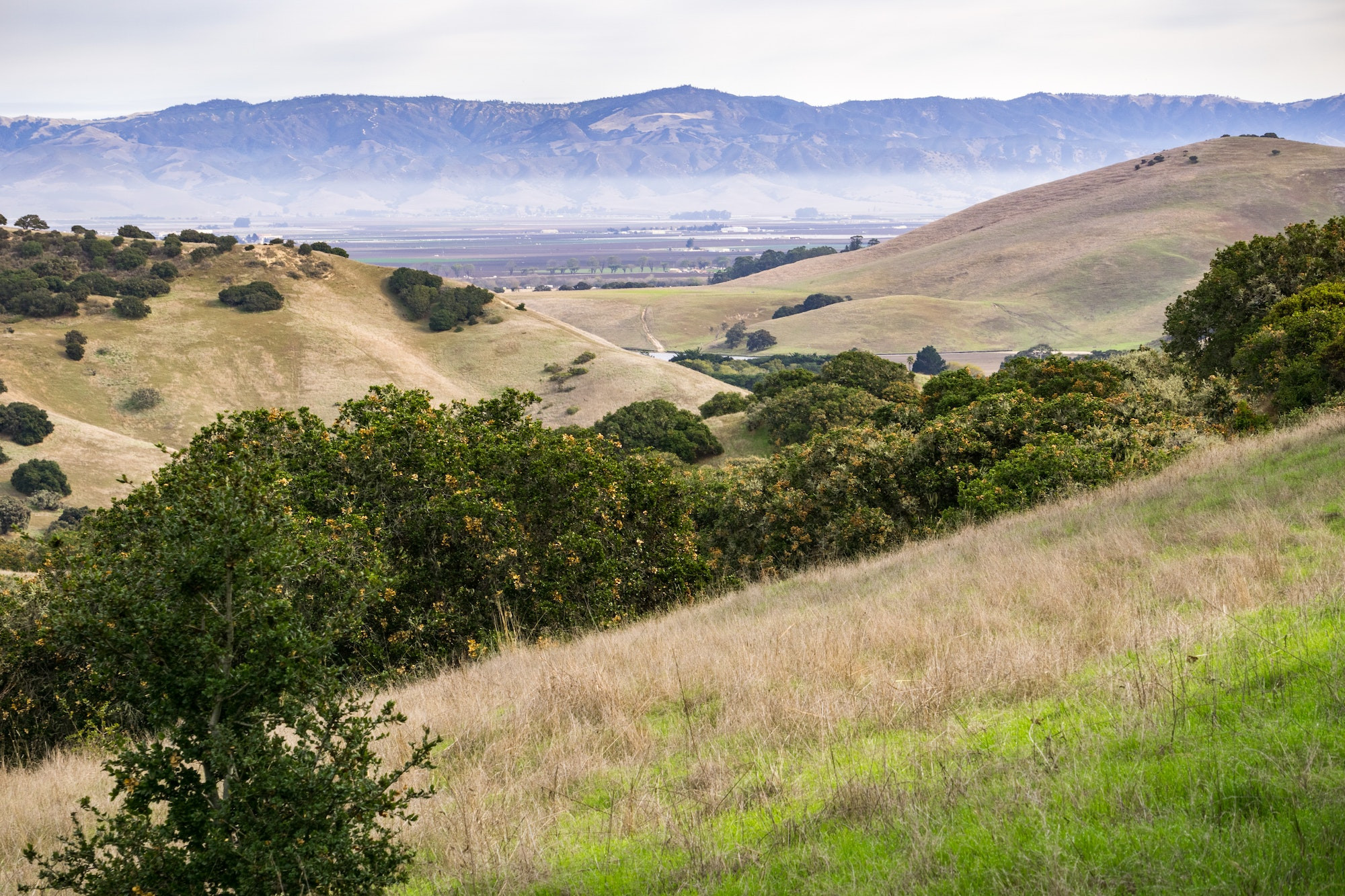 Top 5 Periodontists in Salinas CA