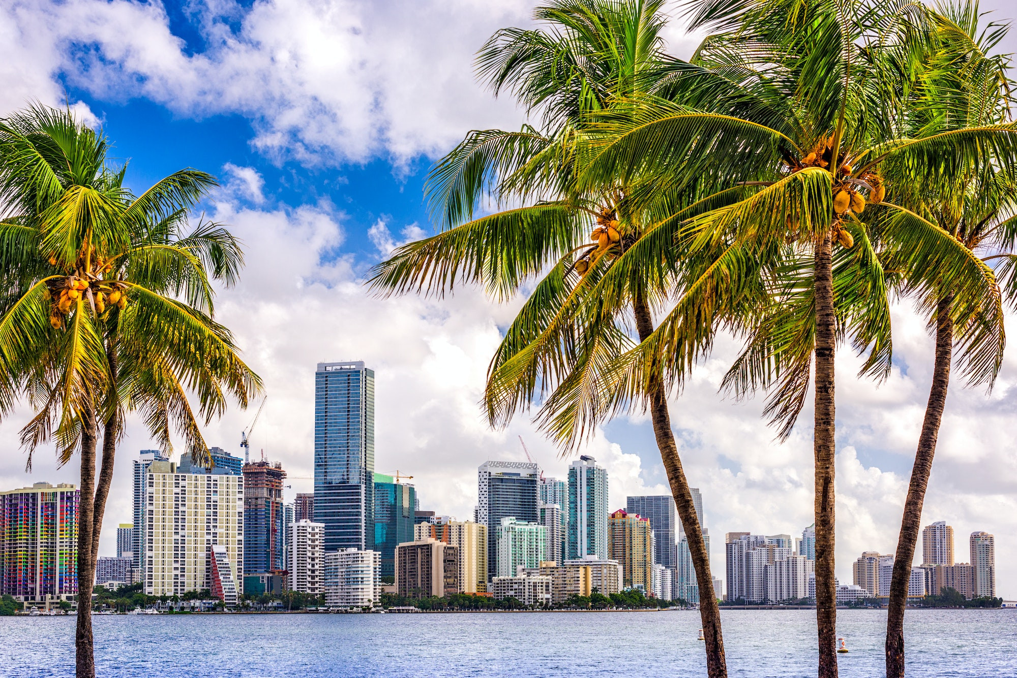 Top 5 Endodontists in Miami FL