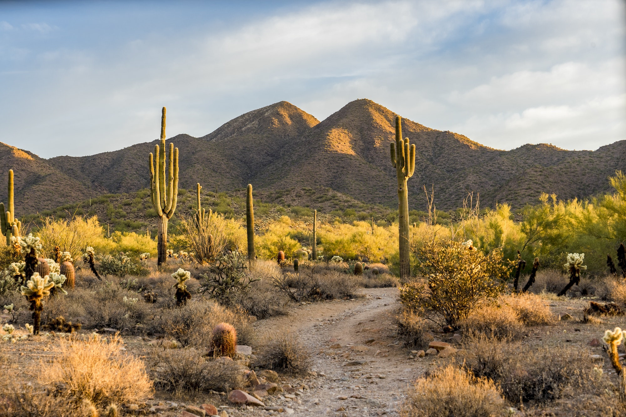 Top 5 Cosmetic Dentists in Scottsdale AZ