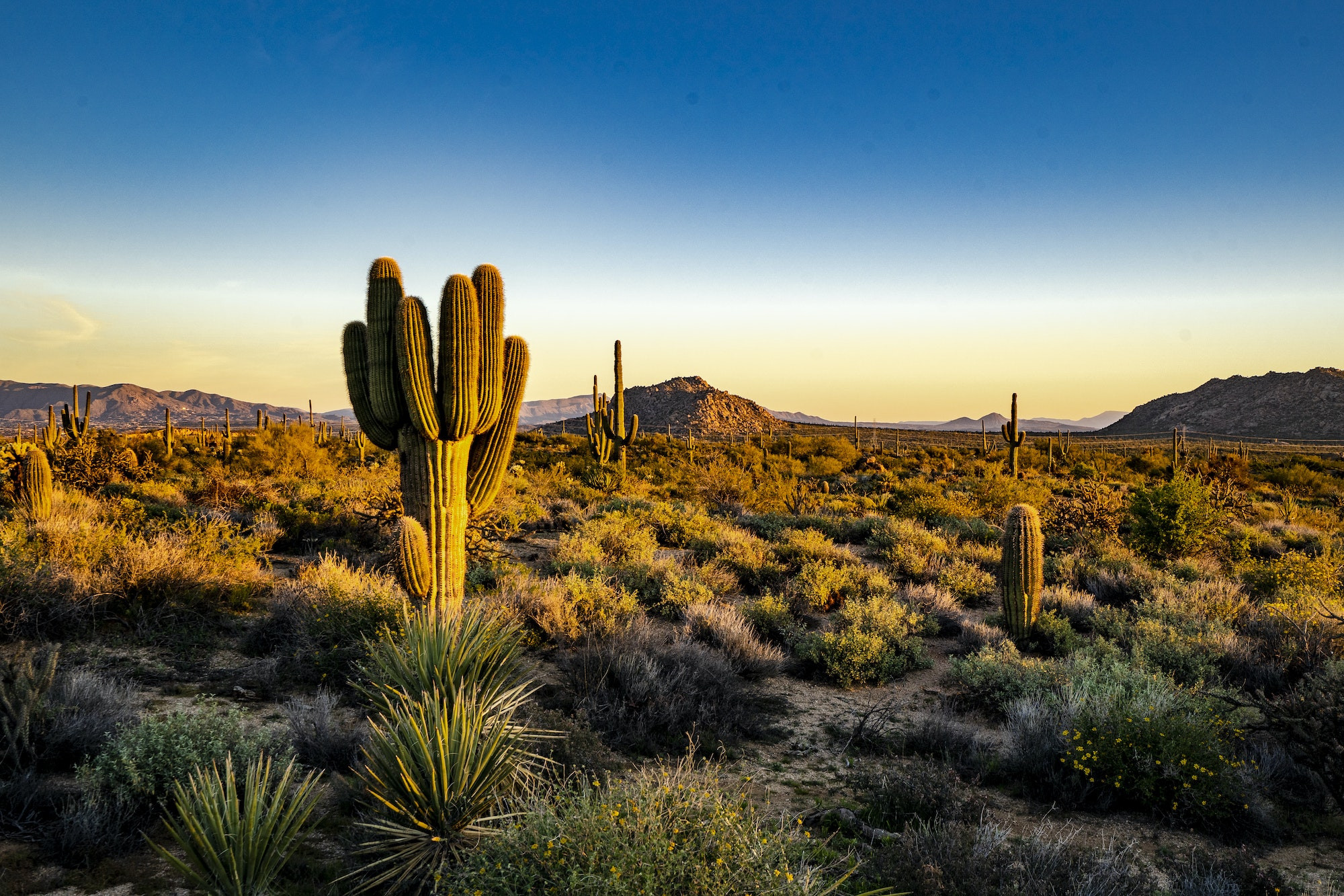 Top 5 Dentists in Scottsdale AZ