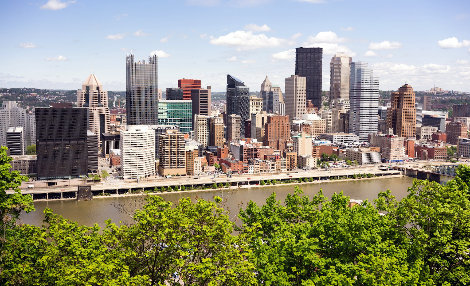 Top 5 Pediatric Dentists in Pittsburgh PA