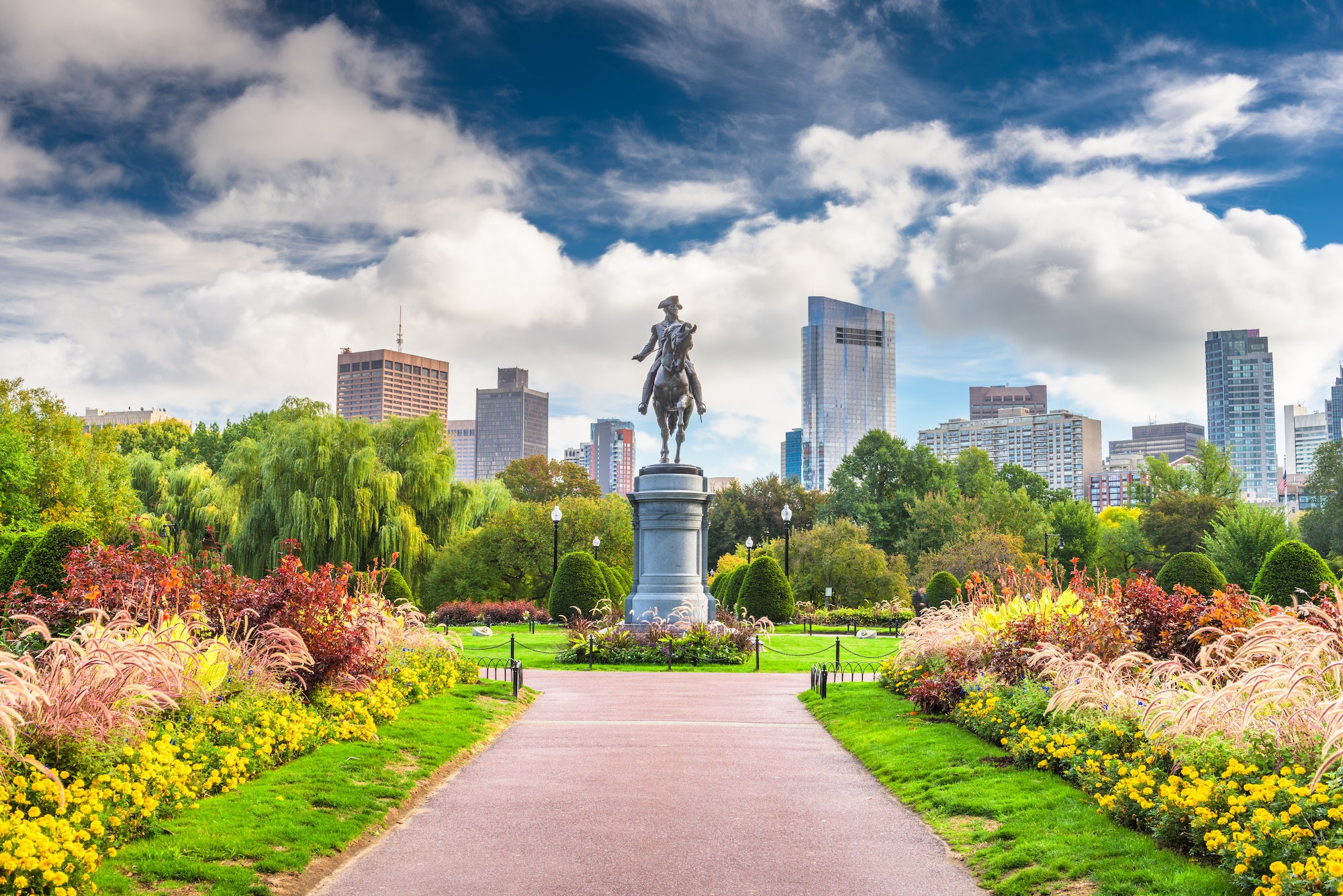 Top 5 Oral Surgeons in Boston MA