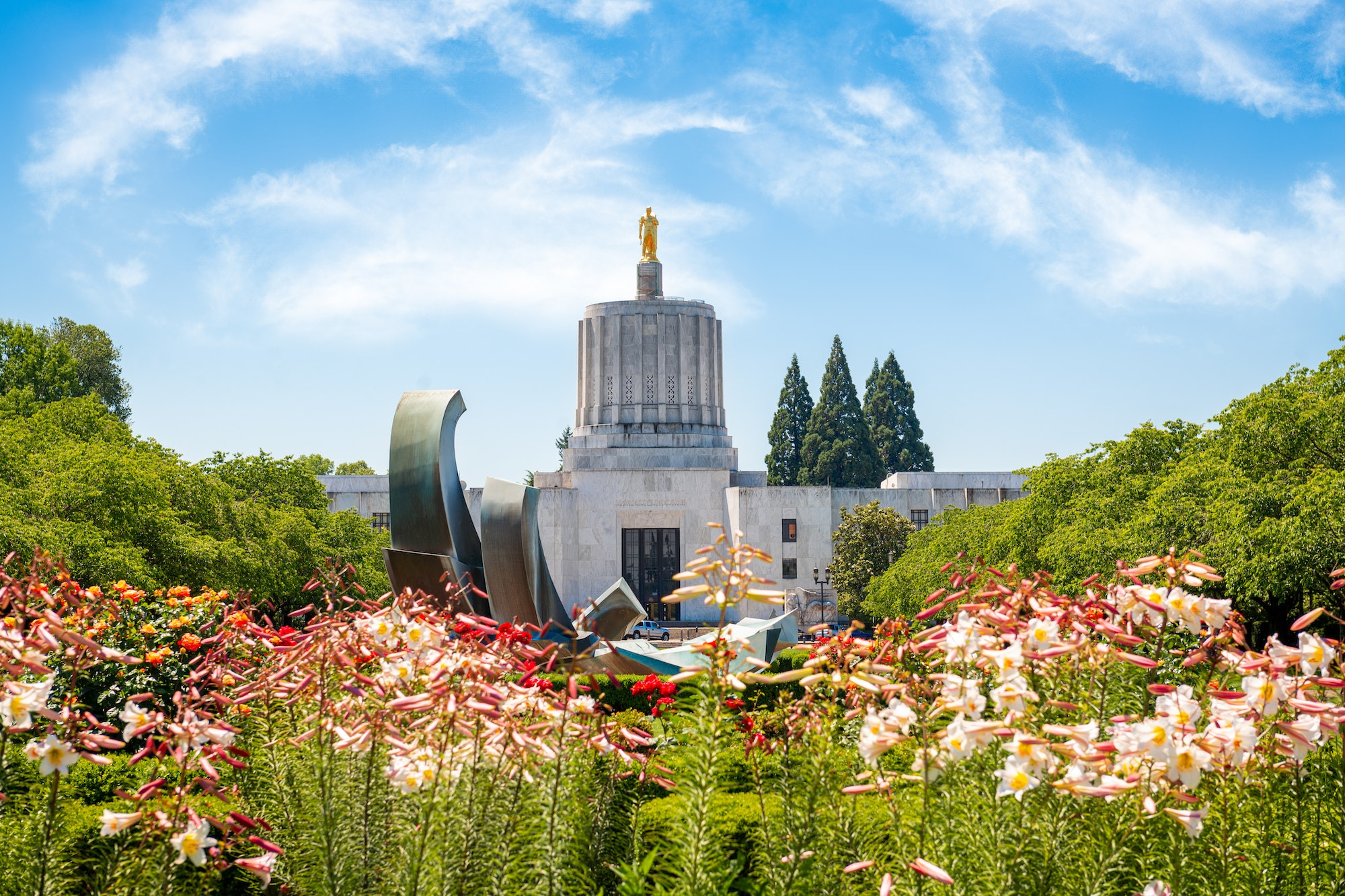 Top 5 Orthodontists in Salem OR