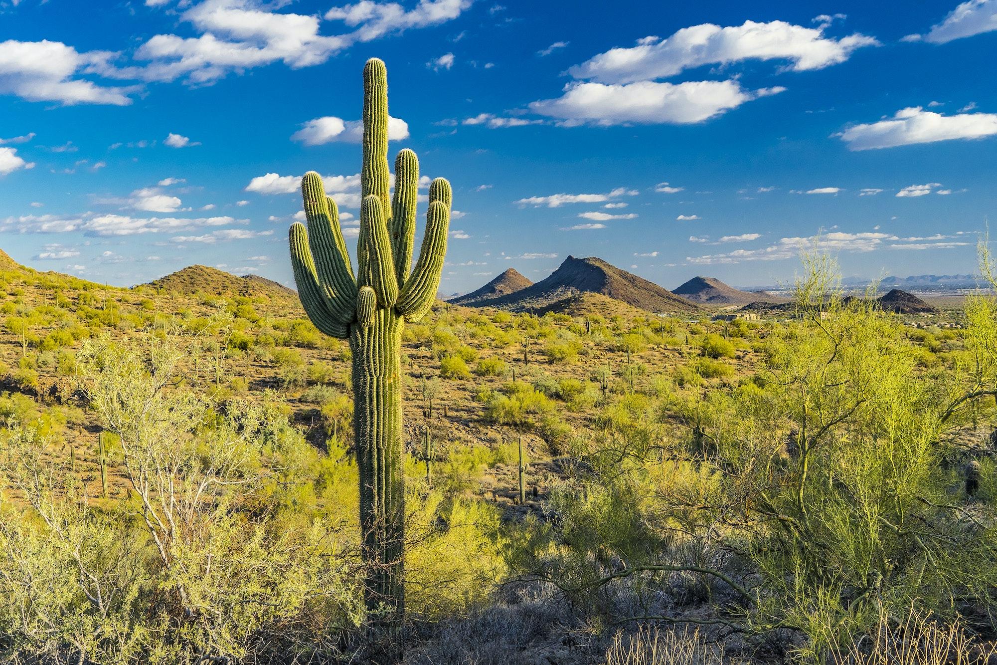 Top 5 Orthodontists in Scottsdale AZ