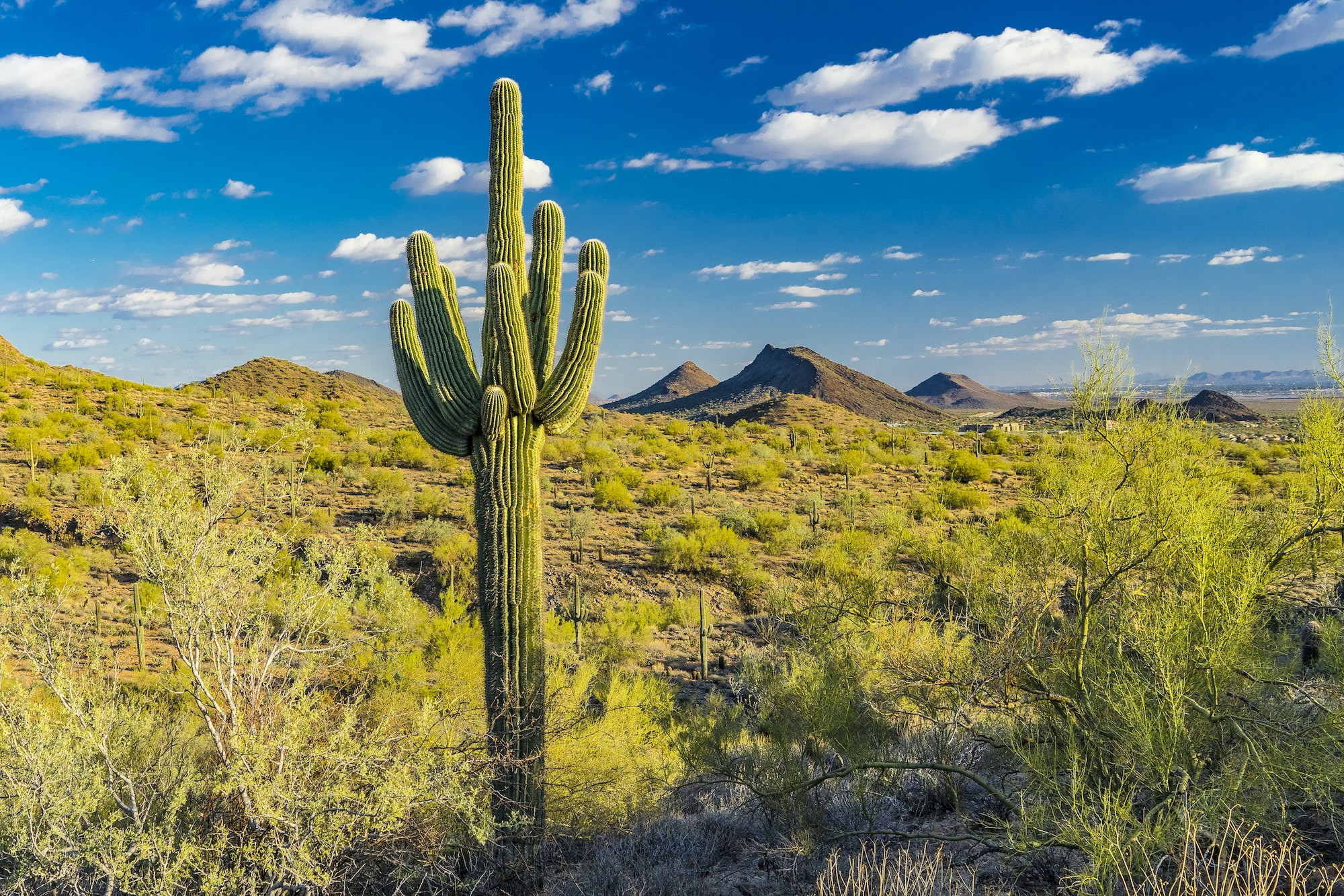 Top 5 Orthodontists in Scottsdale AZ