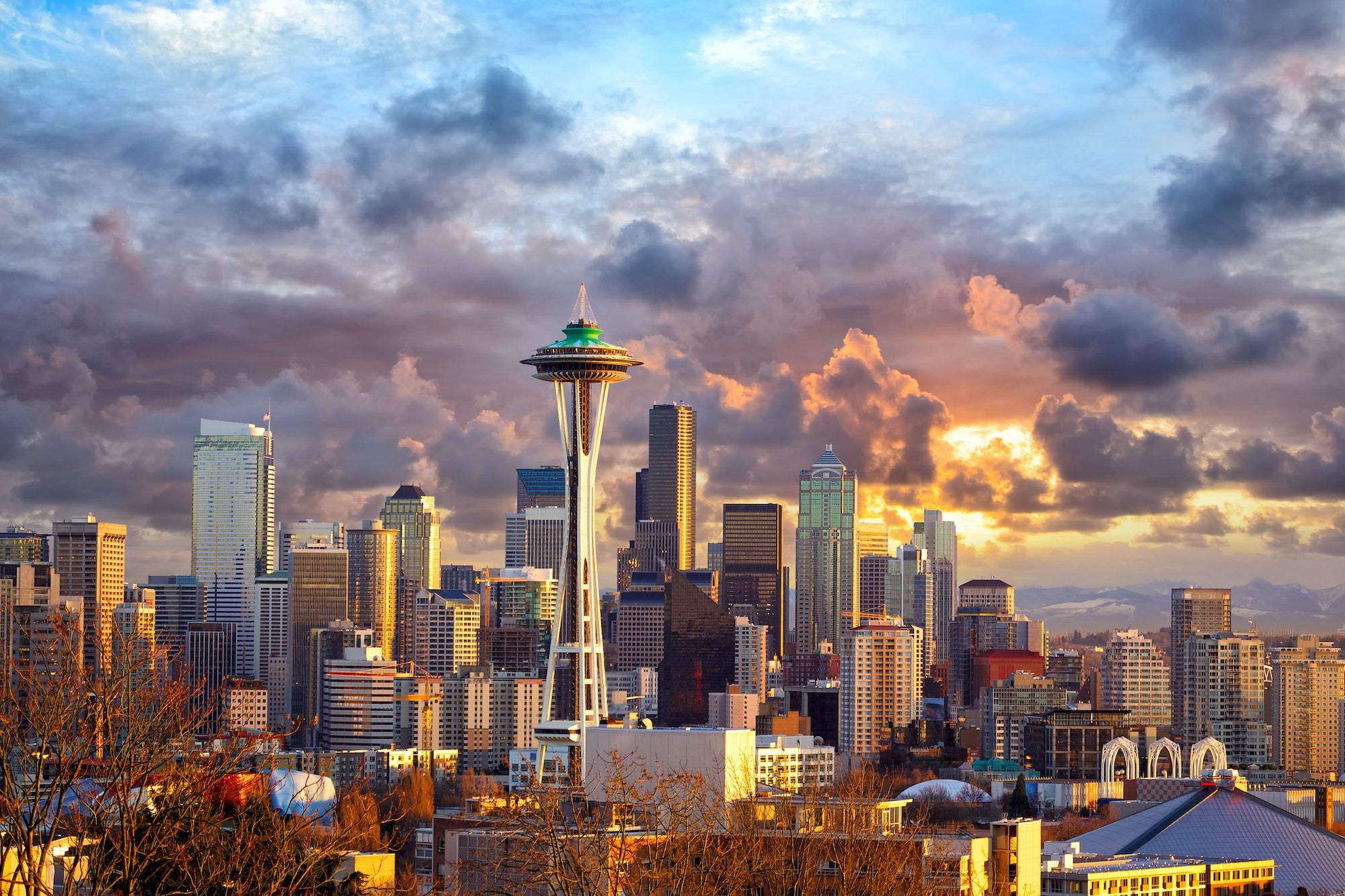 Top 5 Endodontists in Seattle WA
