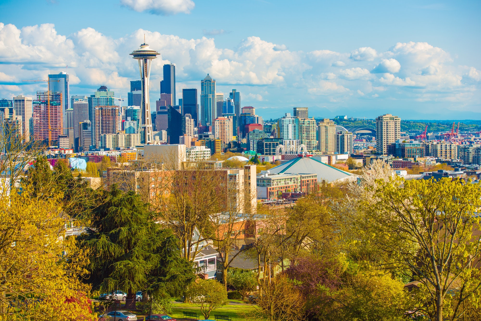 Top 5 Oral Surgeons in Seattle WA