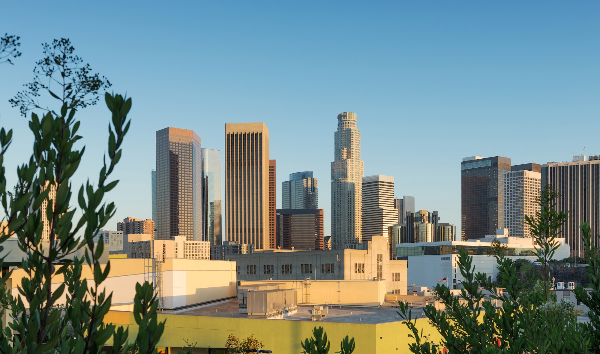 Top 5 Orthodontists in Los Angeles CA