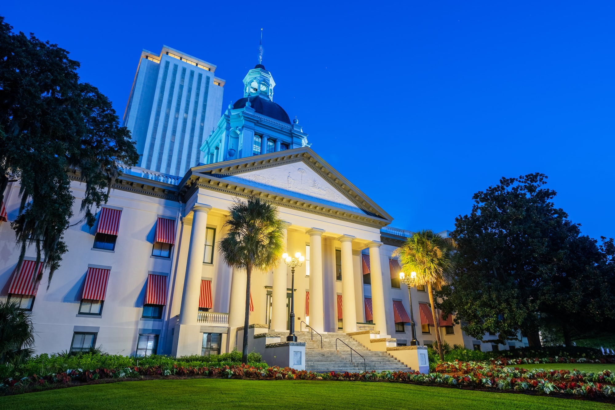 Top 5 Oral Surgeons in Tallahassee FL