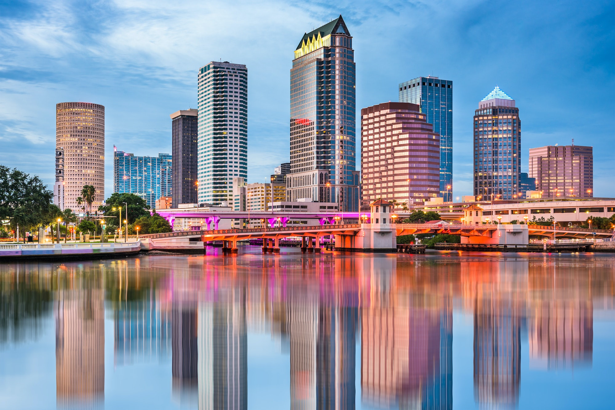 Top 5 Orthodontists in Tampa FL