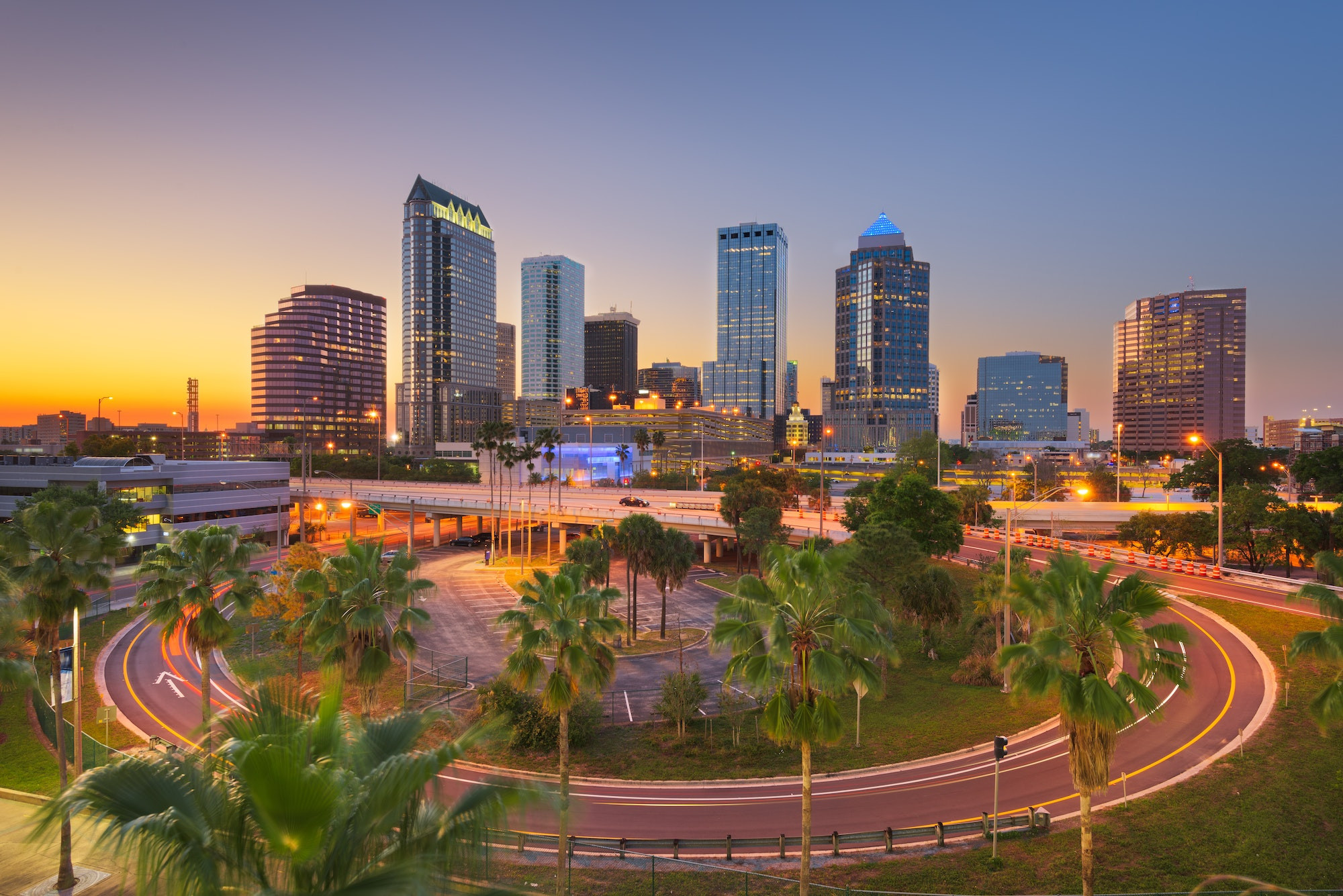 Top 5 Dentists in Tampa FL