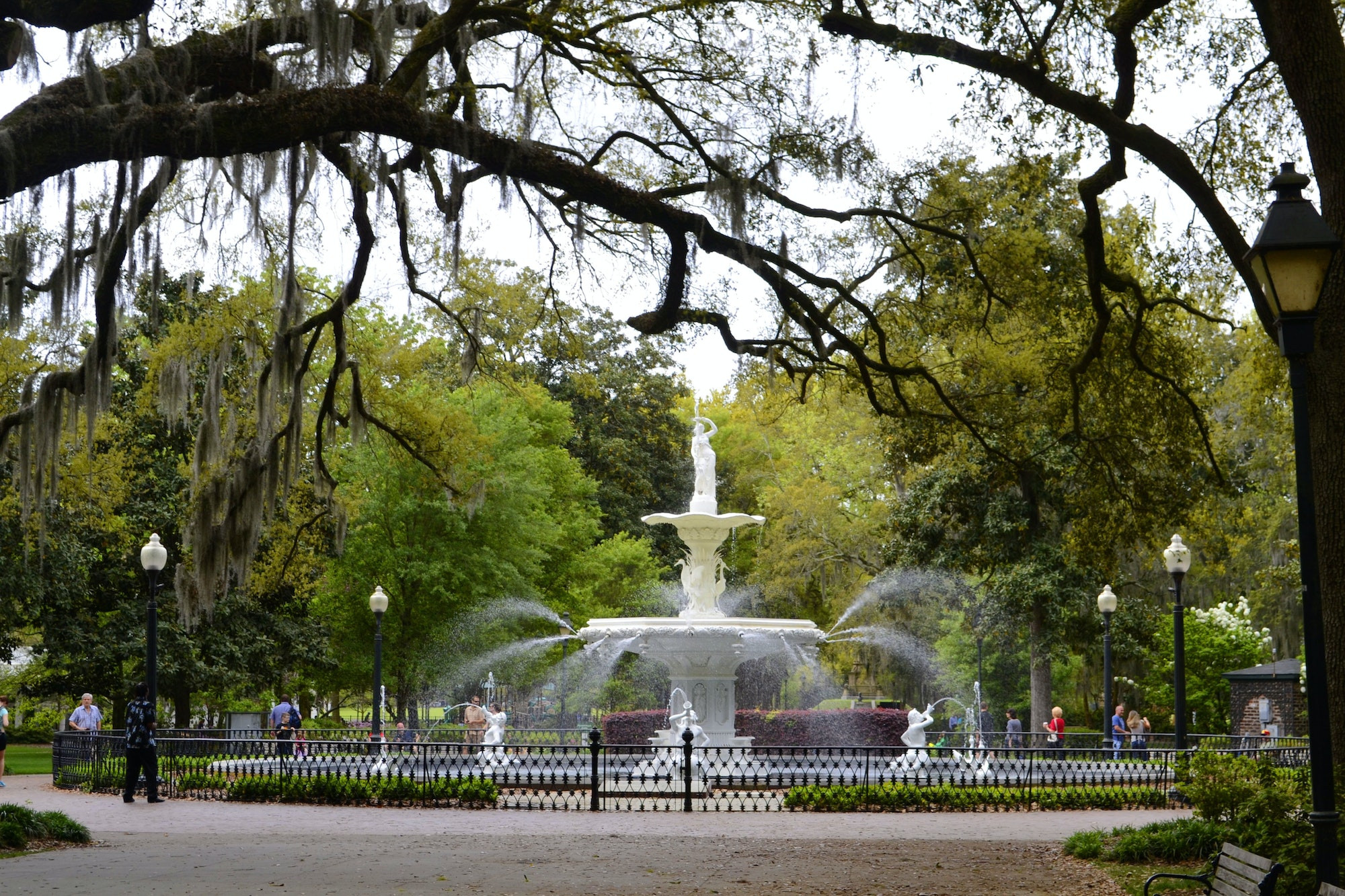 Top 5 Orthodontists in Savannah GA