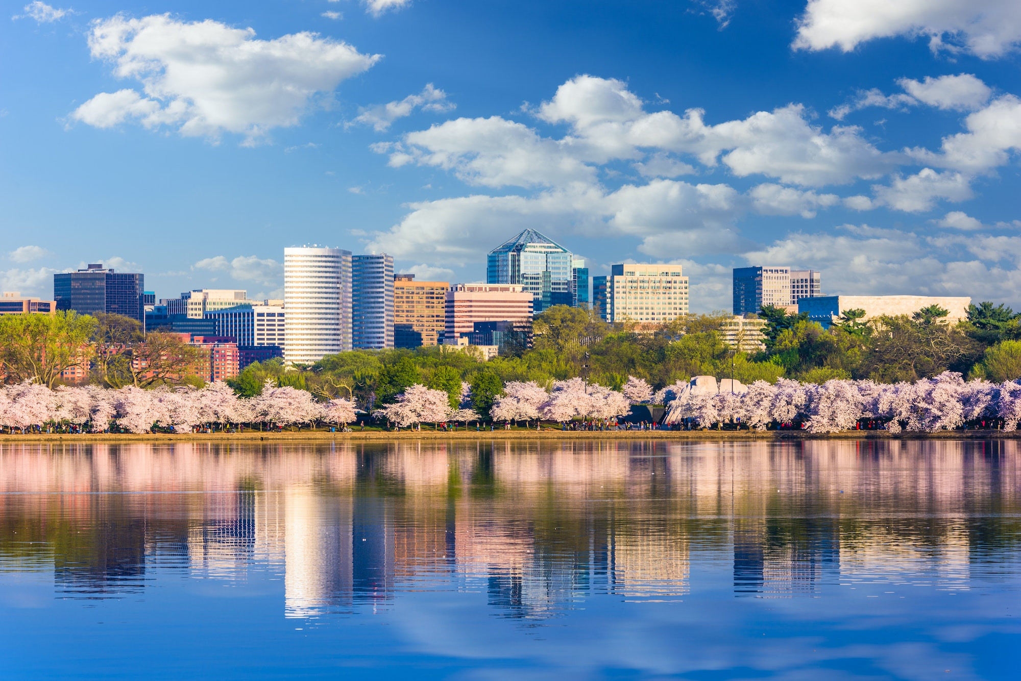 Top 5 Oral Surgeons in Washington DC