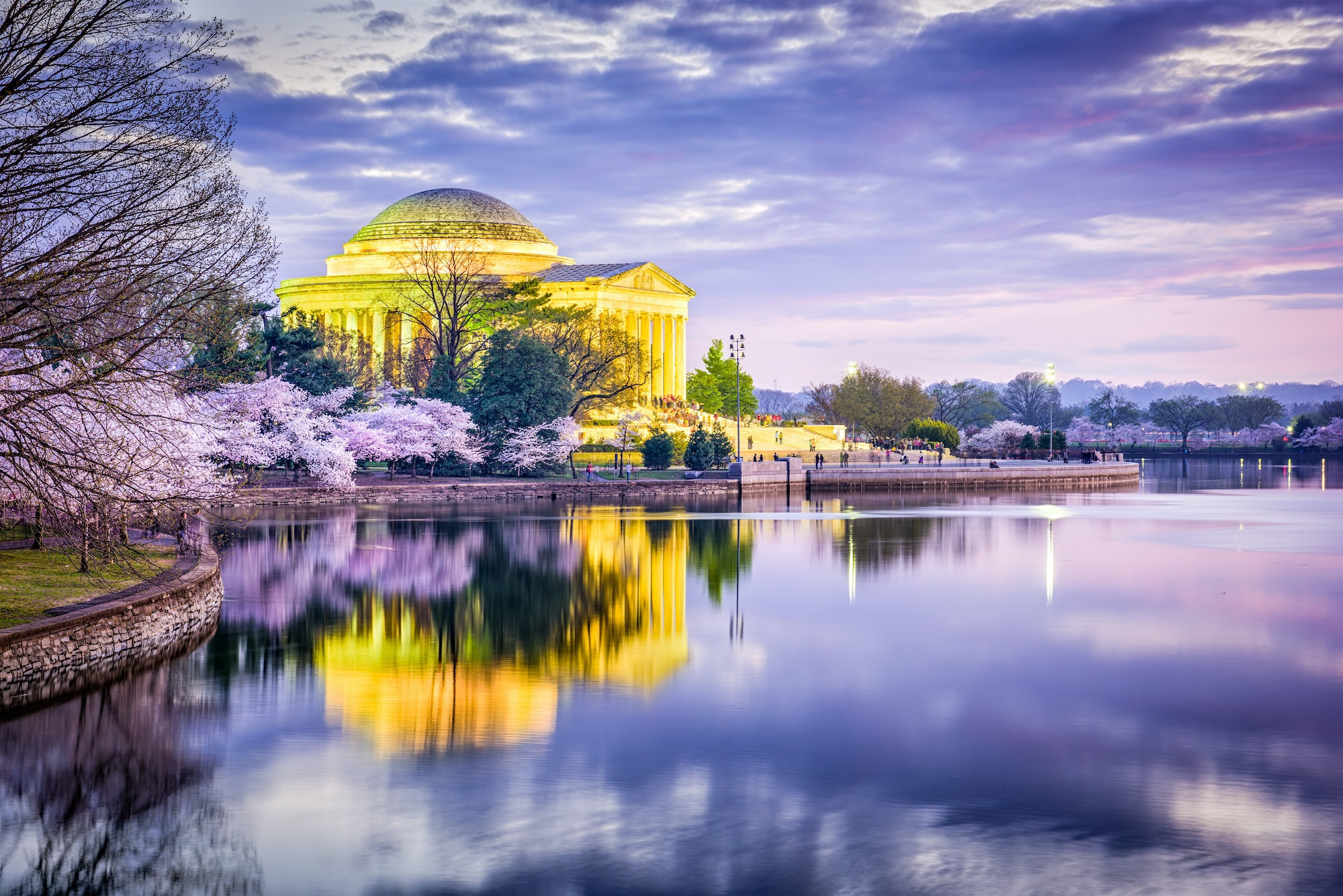 Top 5 Dentists in Washington DC