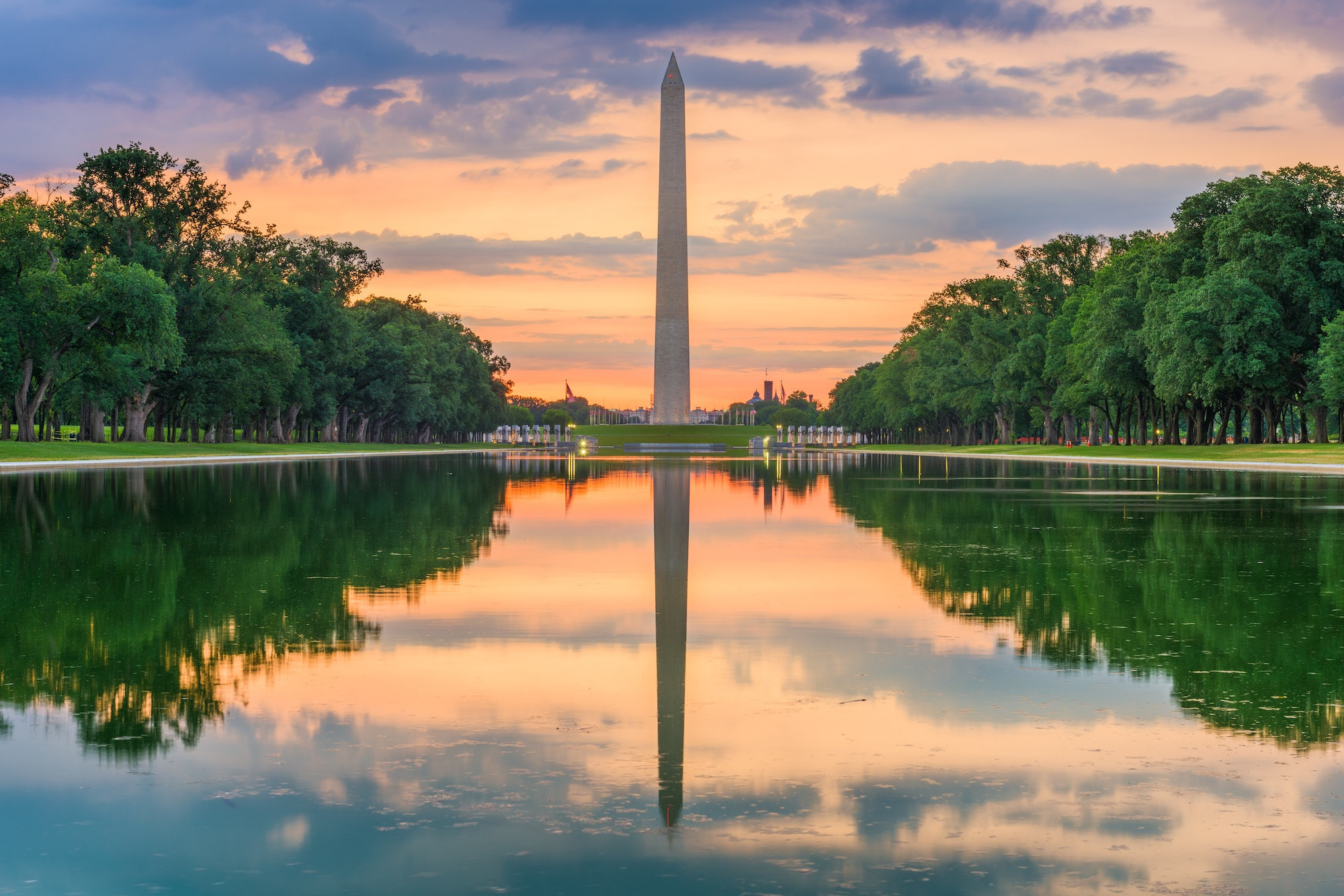 Top 5 Orthodontists in Washington DC