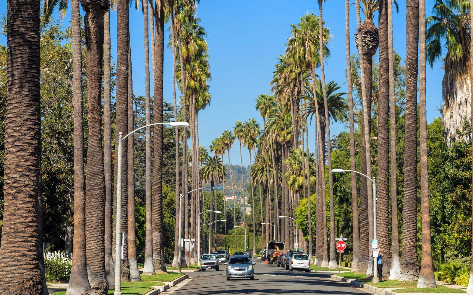 Top 5 Cosmetic Dentists in Beverly Hills CA