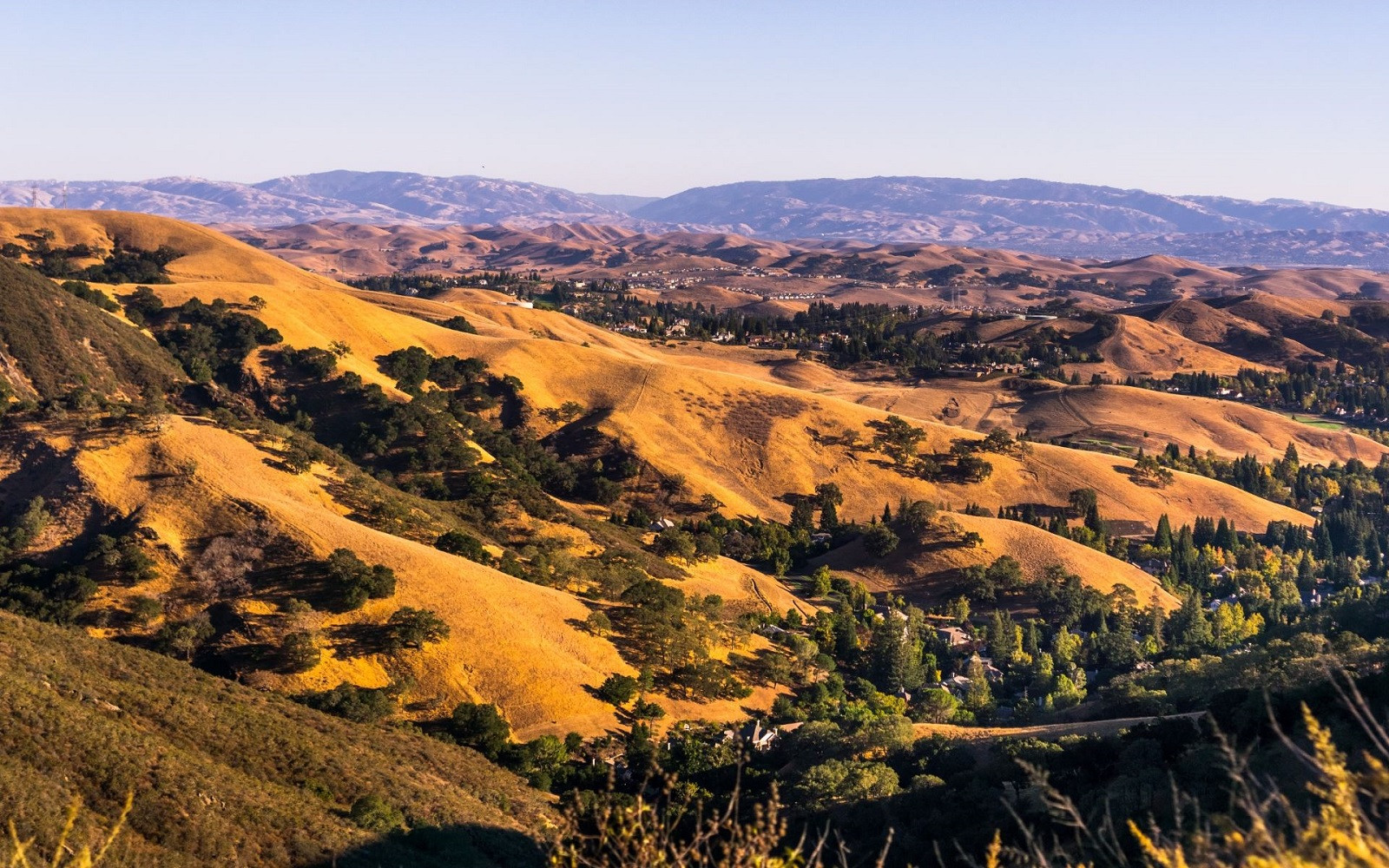 Top 5 Dentists in Danville CA
