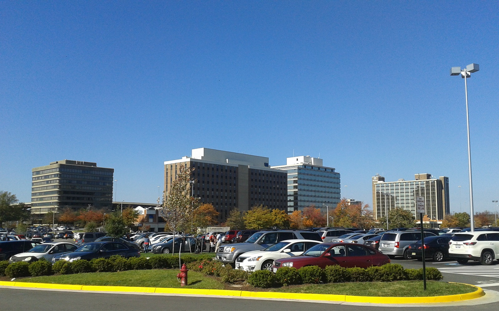 Top 5 Dentists in Springfield VA