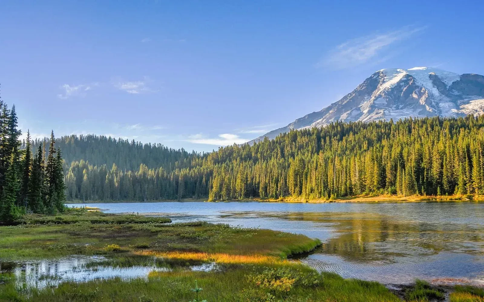 Top 5 Dental Labs in Washington