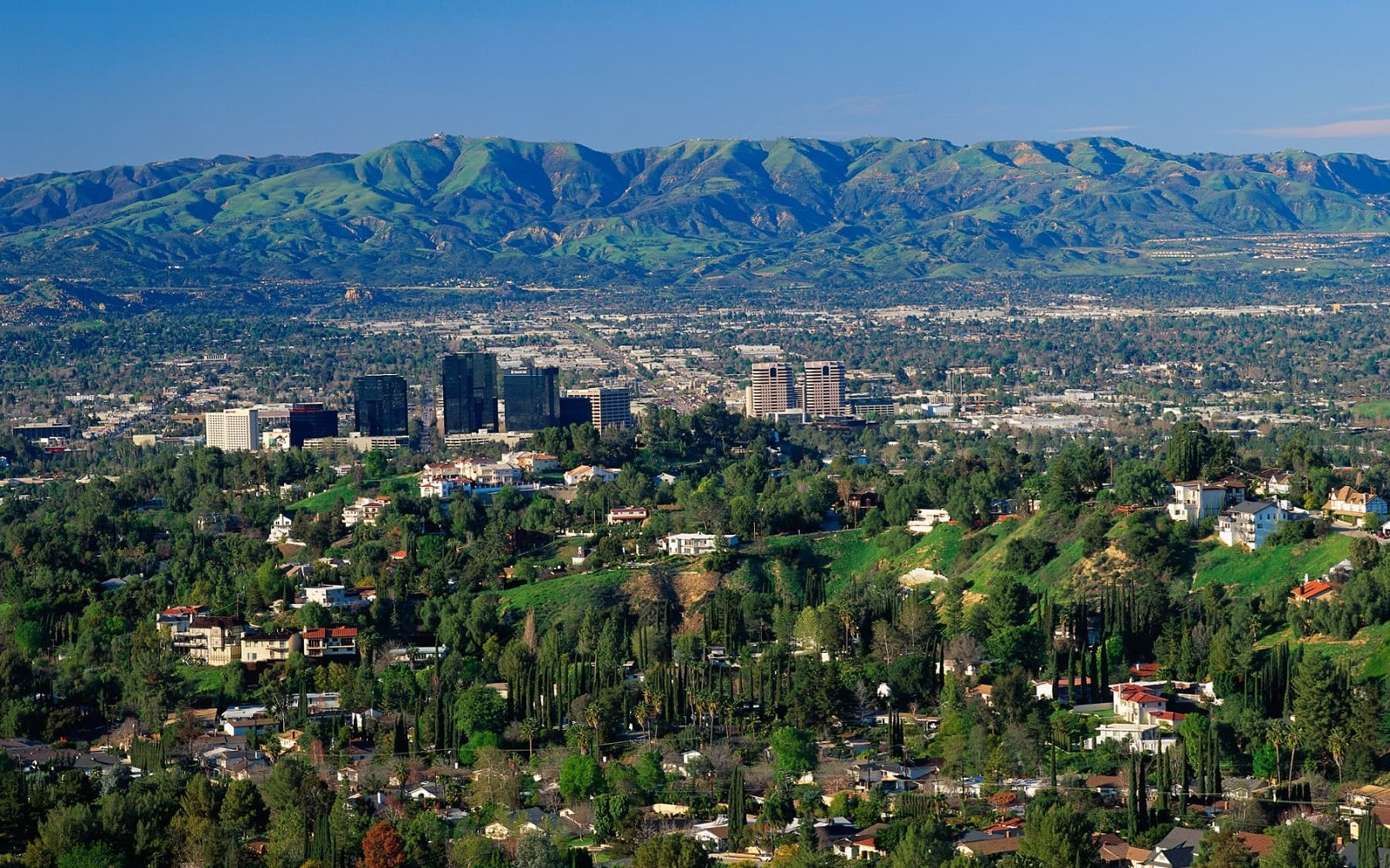 Top 5 Pediatric Dentists in Woodland Hills CA