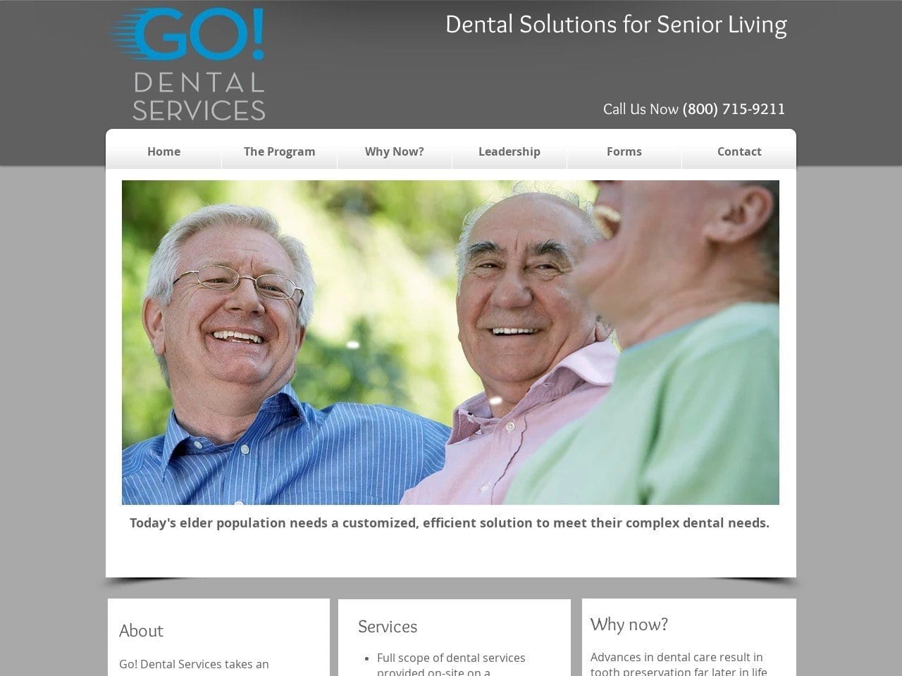 Go Dental Services Website Screenshot from Go-DentalServices.com