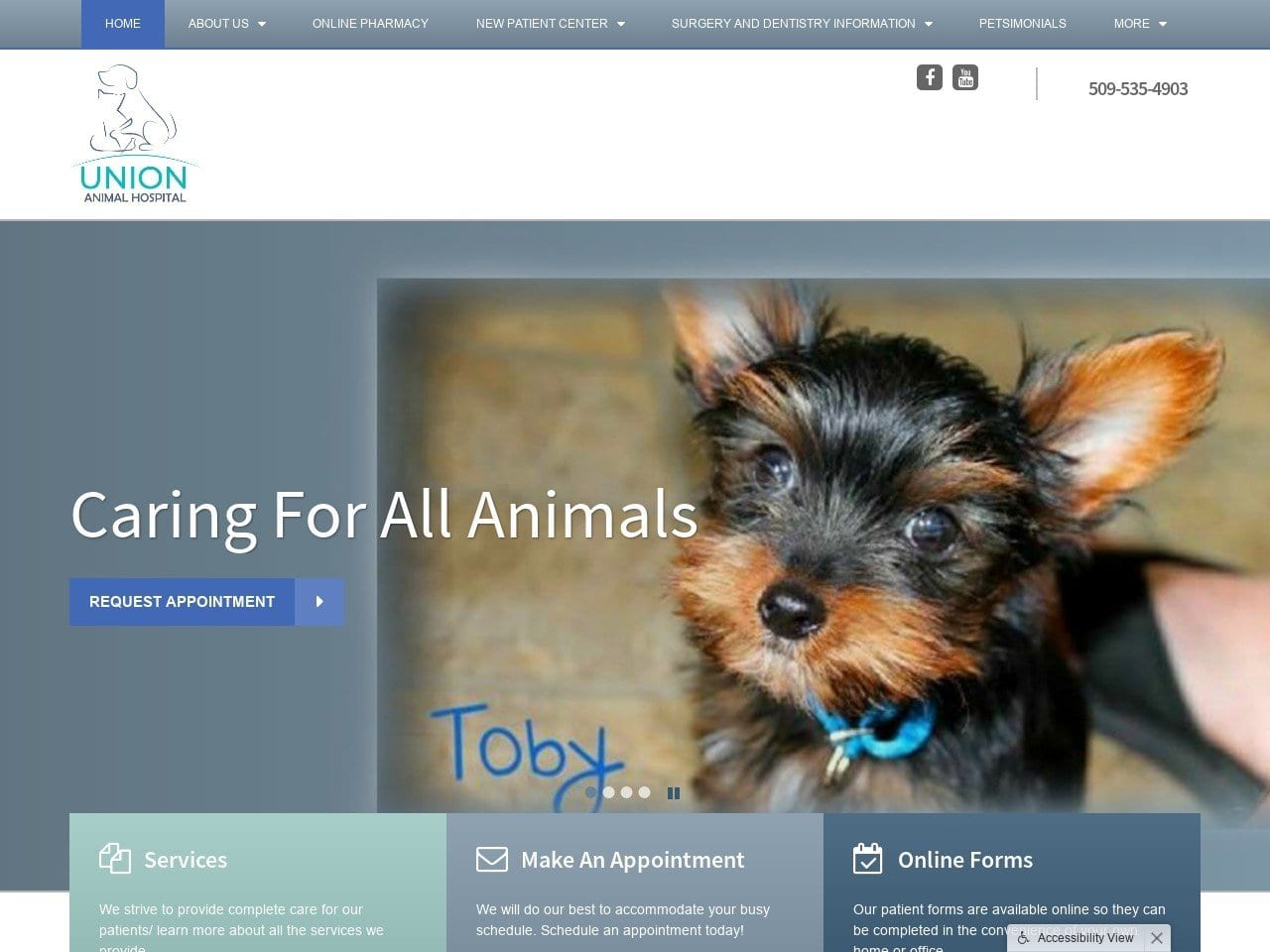 Affordable Pet Dental Plus Website Screenshot from affordablepetdental.com