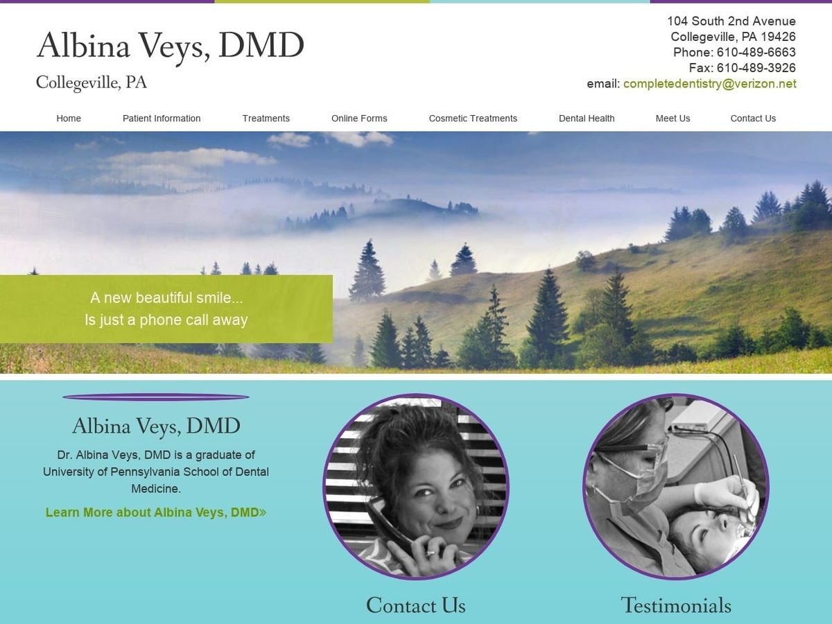 Albina Veys DMD Website Screenshot from albinaveysdmd.com